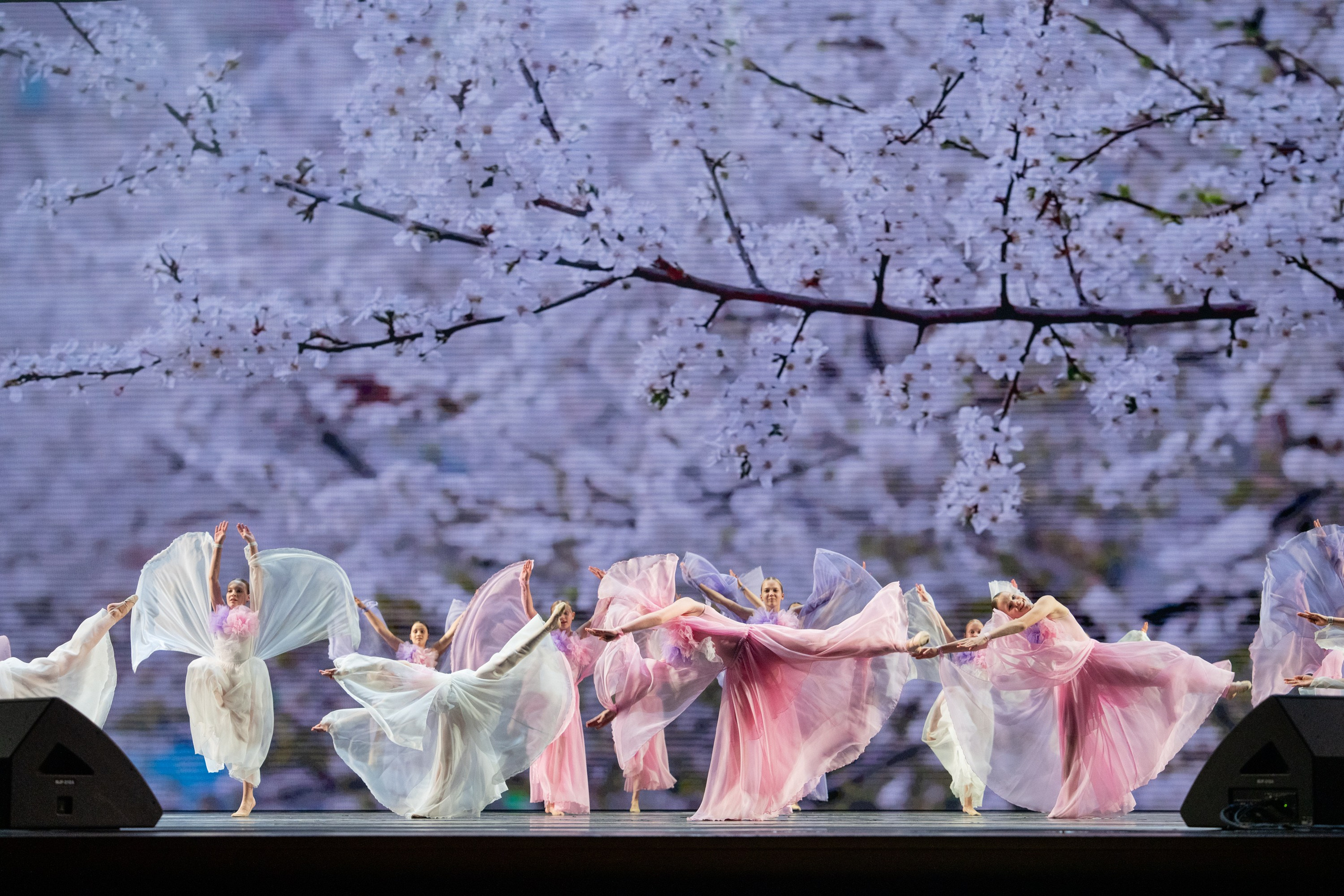 17 мая, г. Москва, Кремль, Концерт. Золотое яблочко