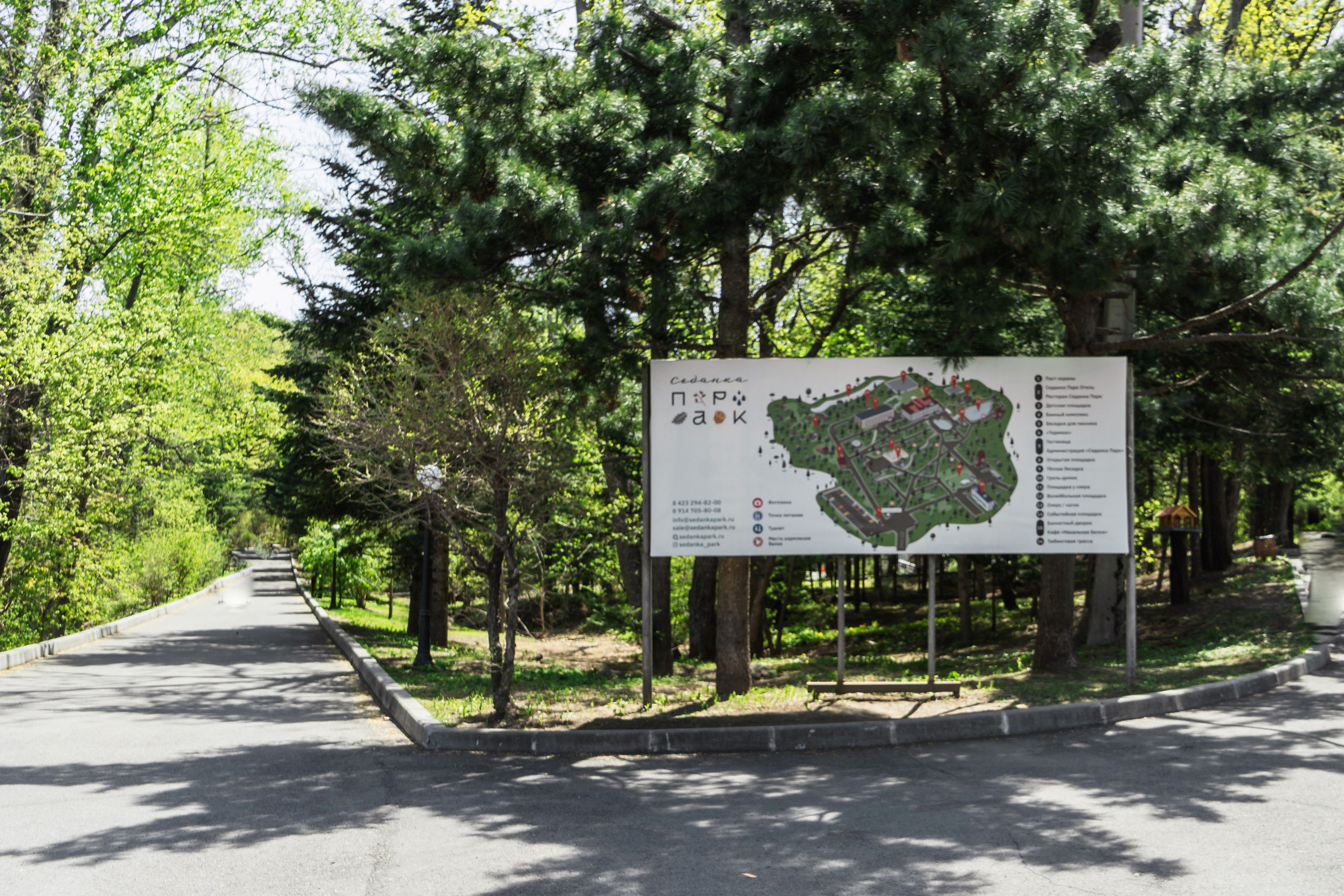 День рождения в парке. Семейный и детский фотограф во Владивостоке Мария Гой