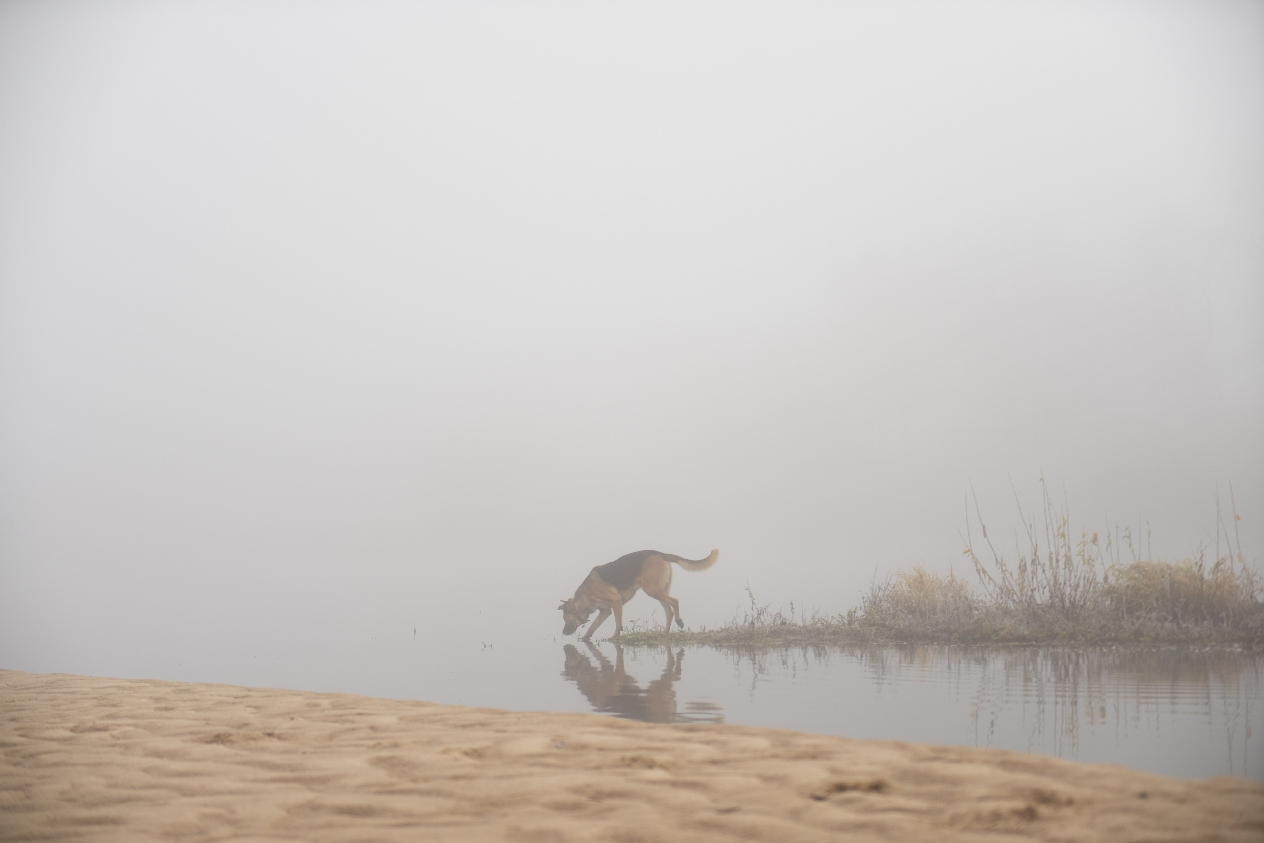 Связь с фотографом. Лиза Фирстова