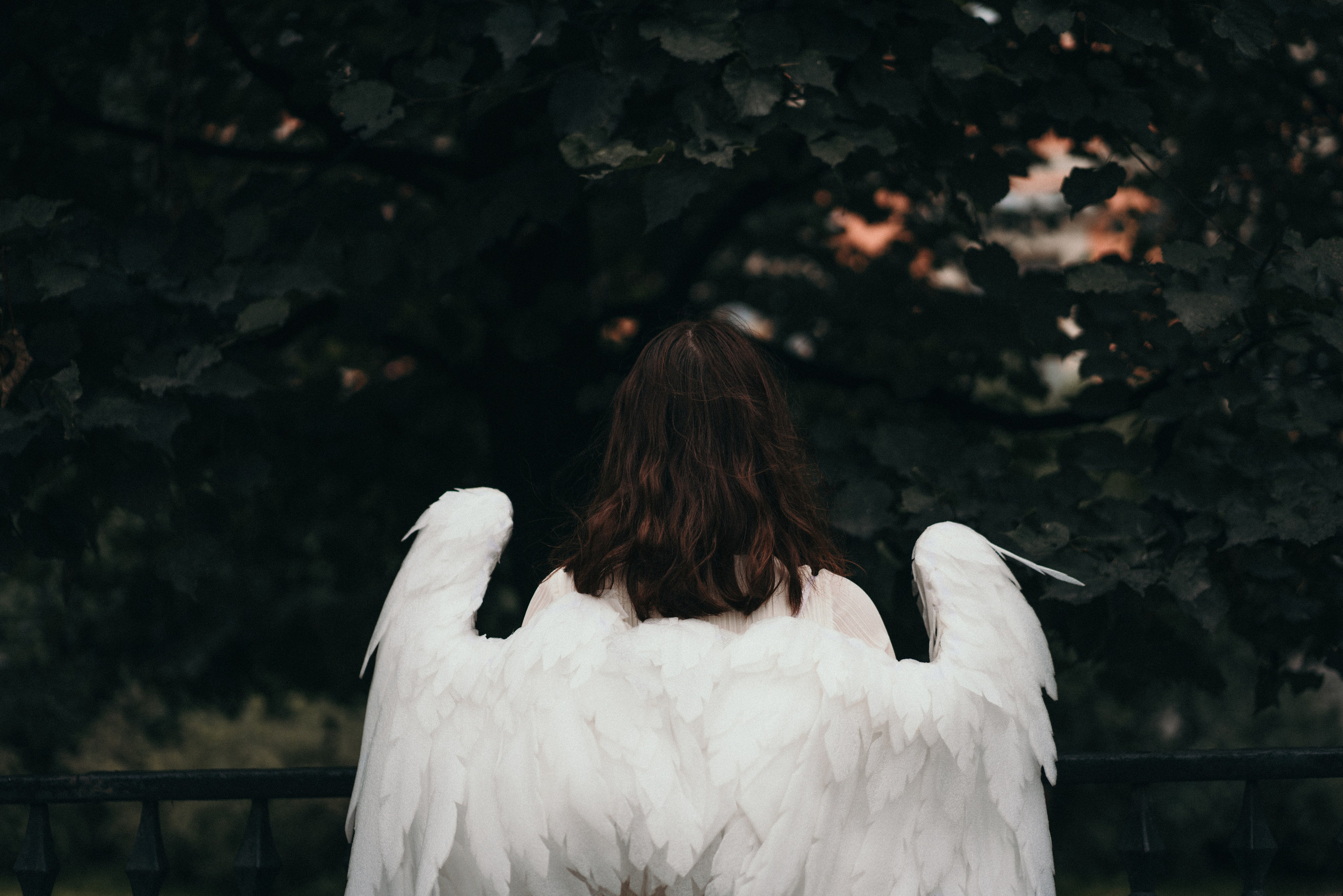 Разочаровавшийся Ангел Аурелия. Видеооператор, фотограф в Санкт-Петербурге