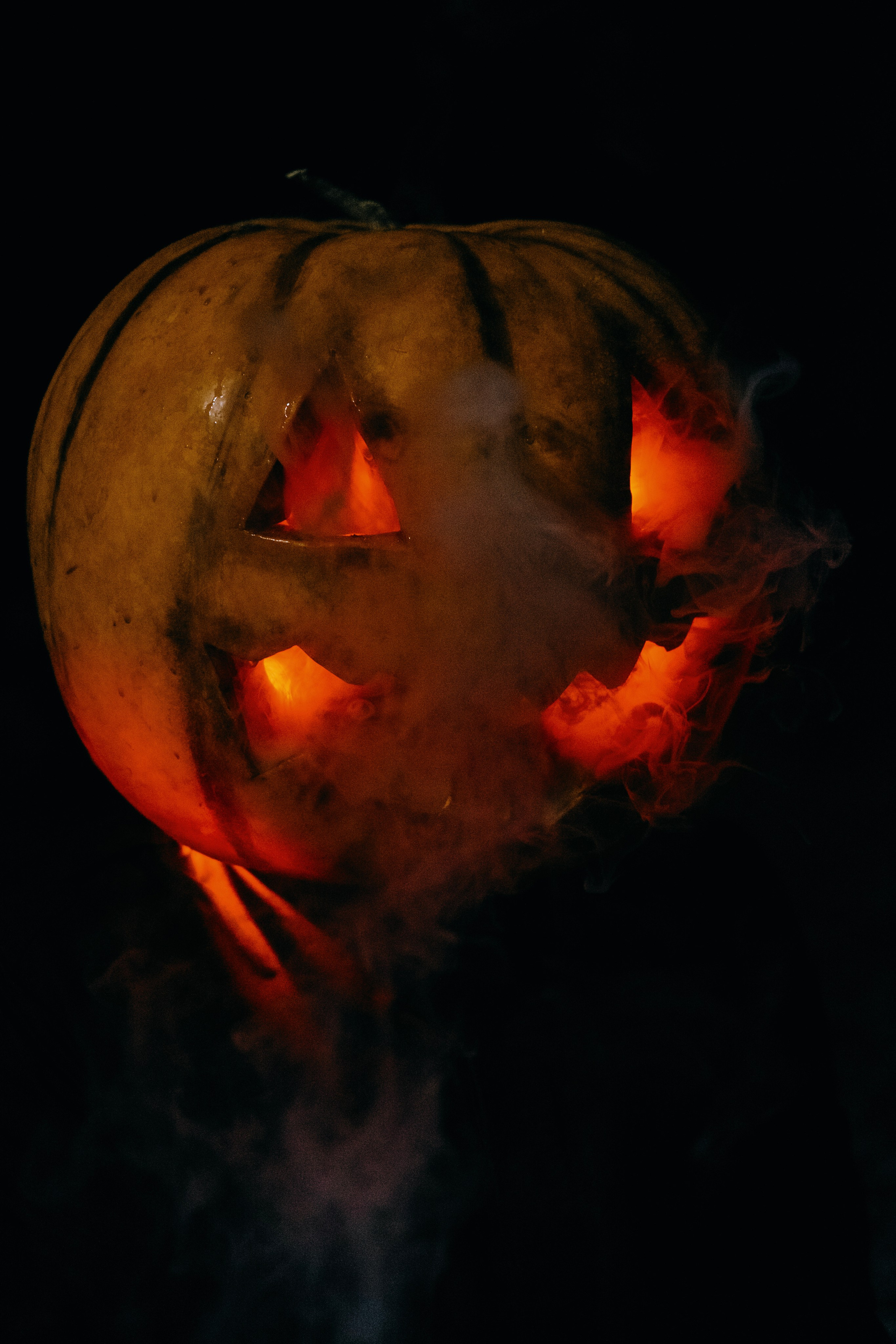 «Избранник тыквенной грядки». Фотограф (Москва, Мытищи)— Комова Анастасия