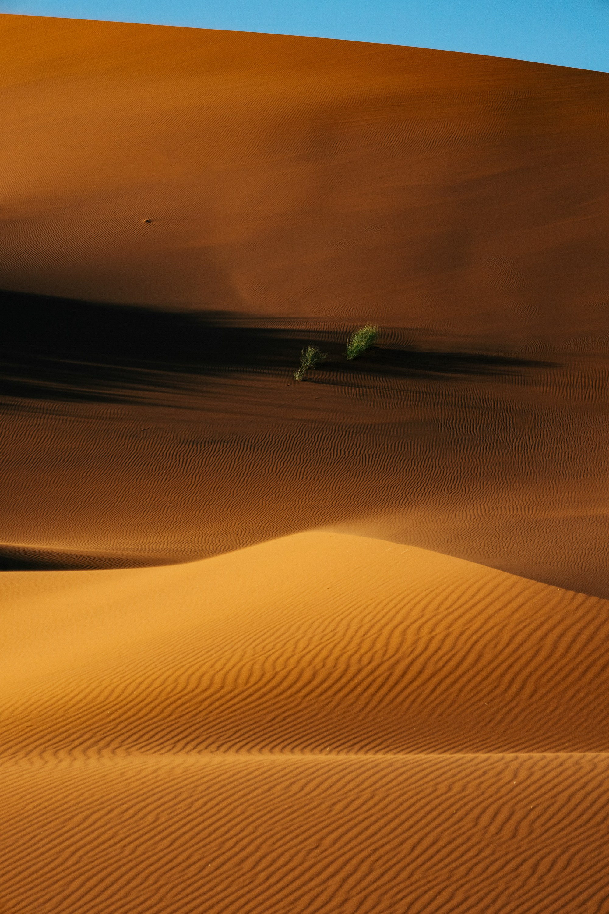 НАМИБИЯ. Роадтрип