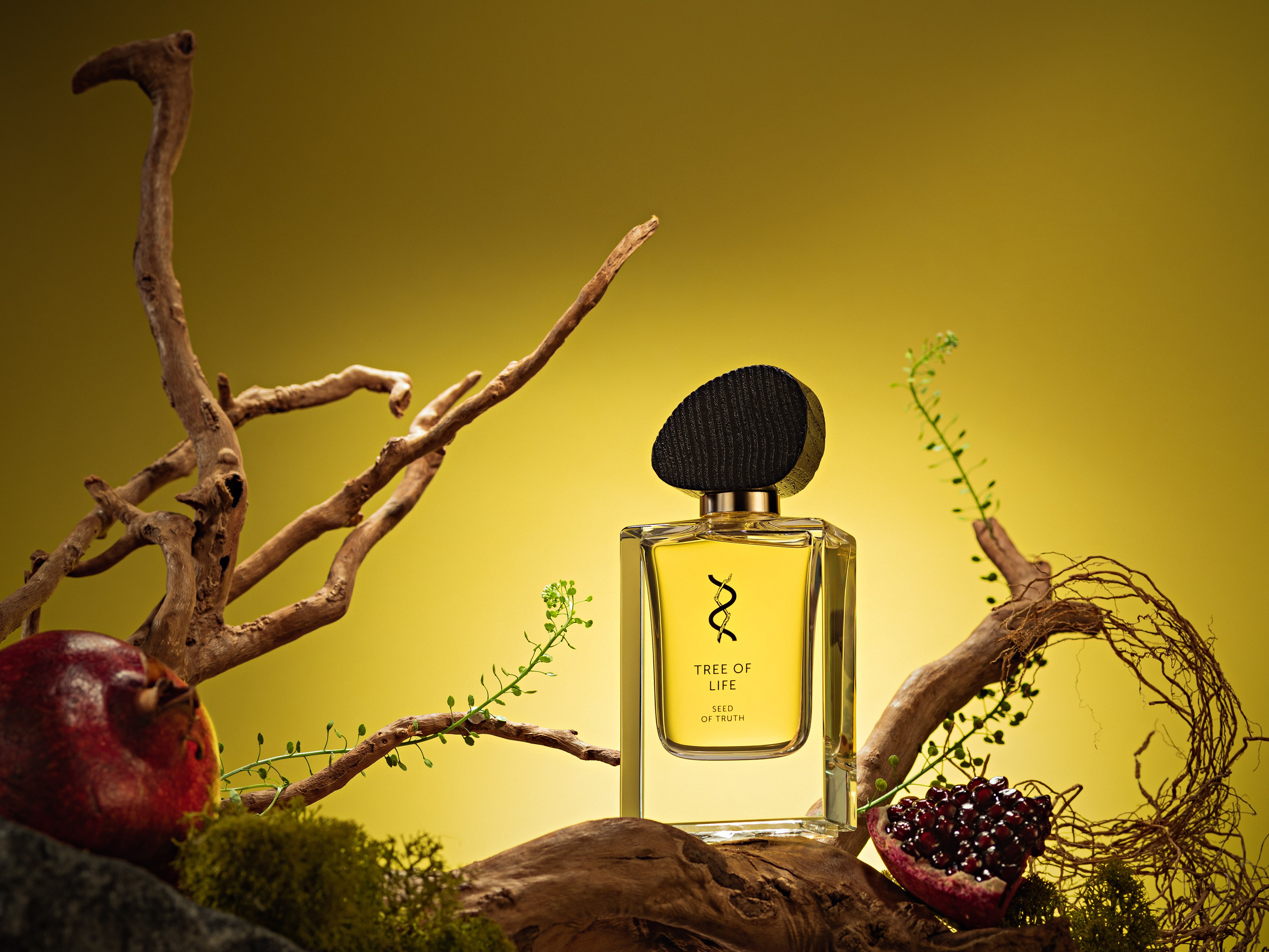 Set design. Асель Рембекова