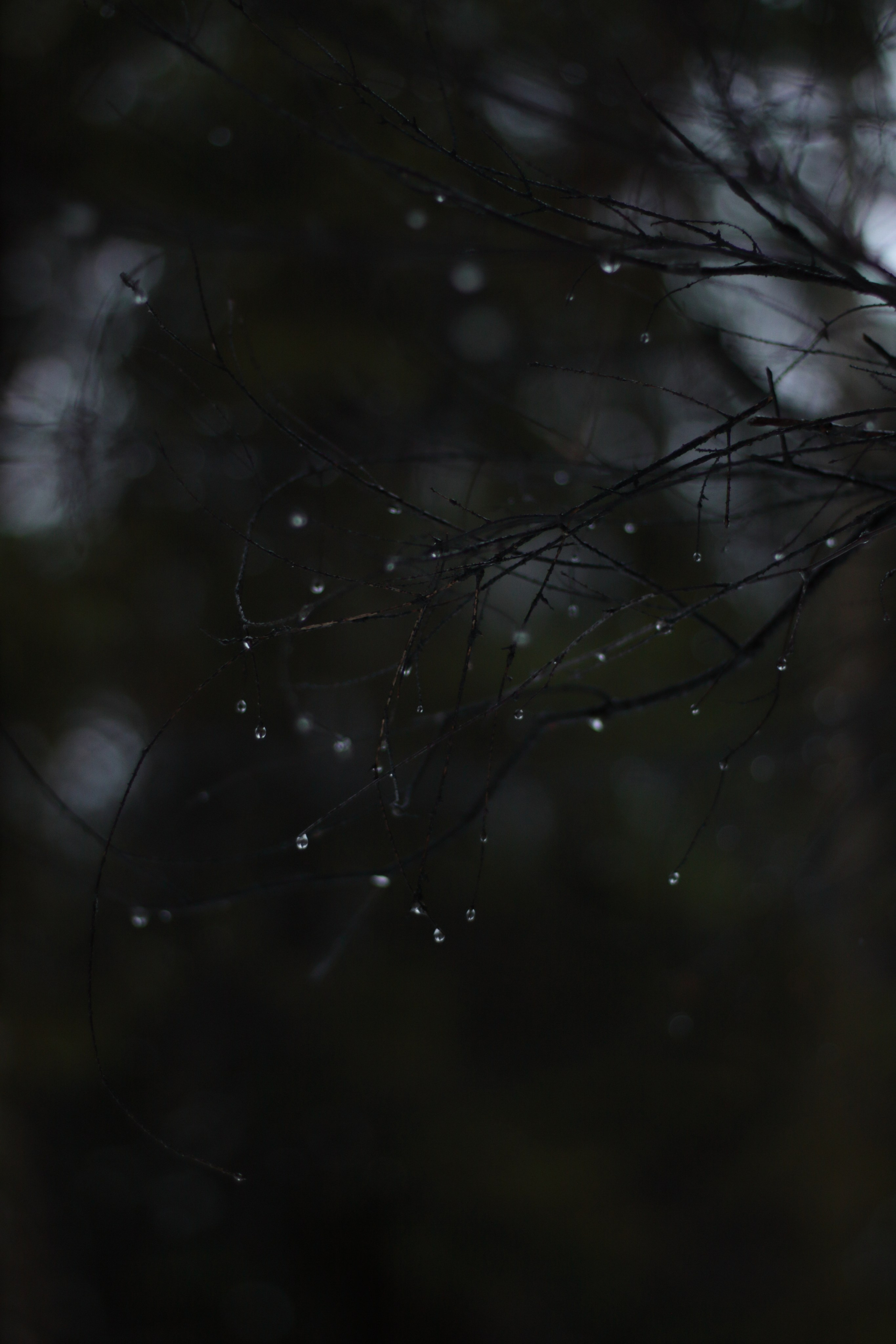 Старое природное, отбирала Katamount (Катерина Горохова). Главная