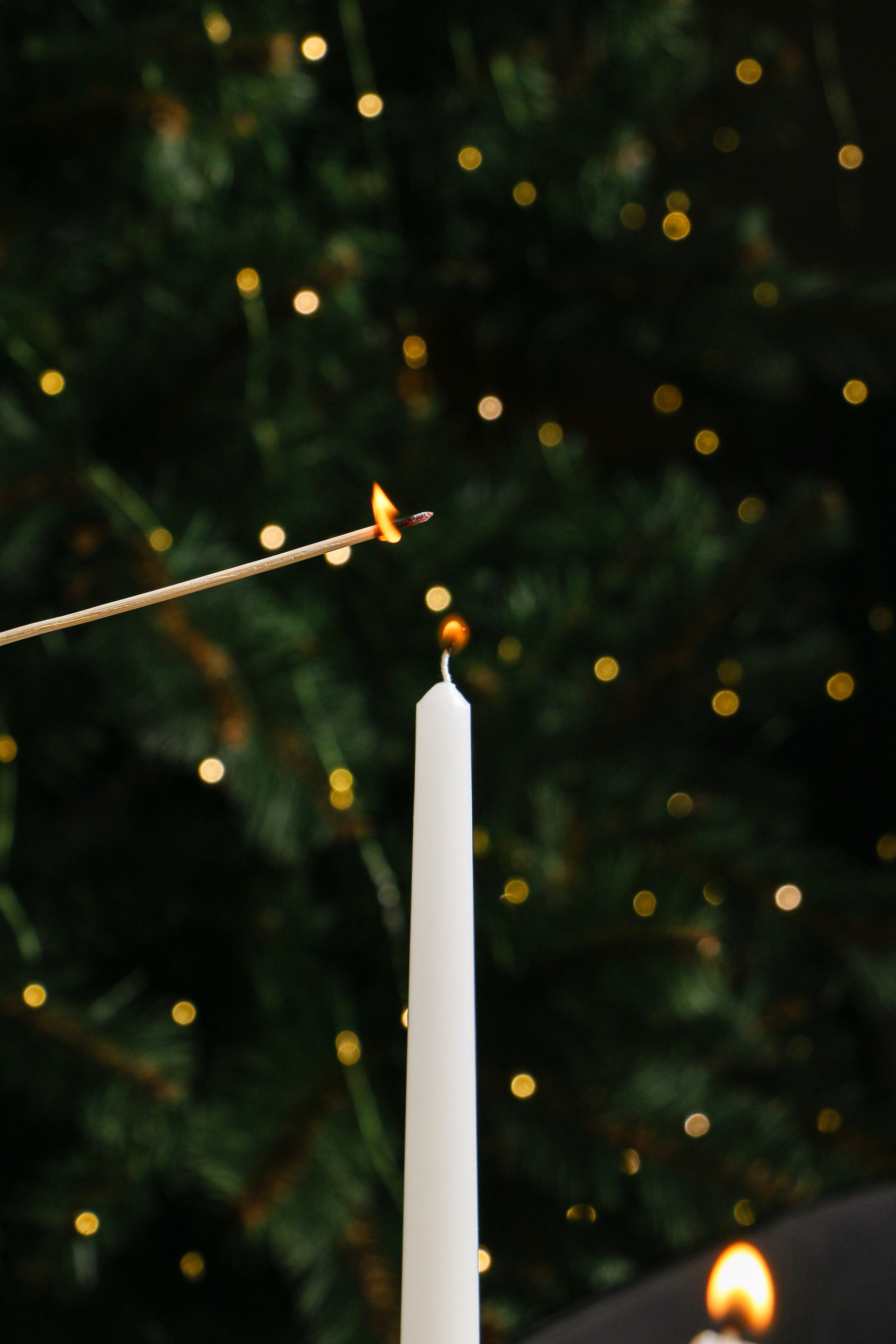 Новый год в ресторане SEASONS. Контент-фотограф Калининград АНАСТАСИЯ ТКАЧЕВА