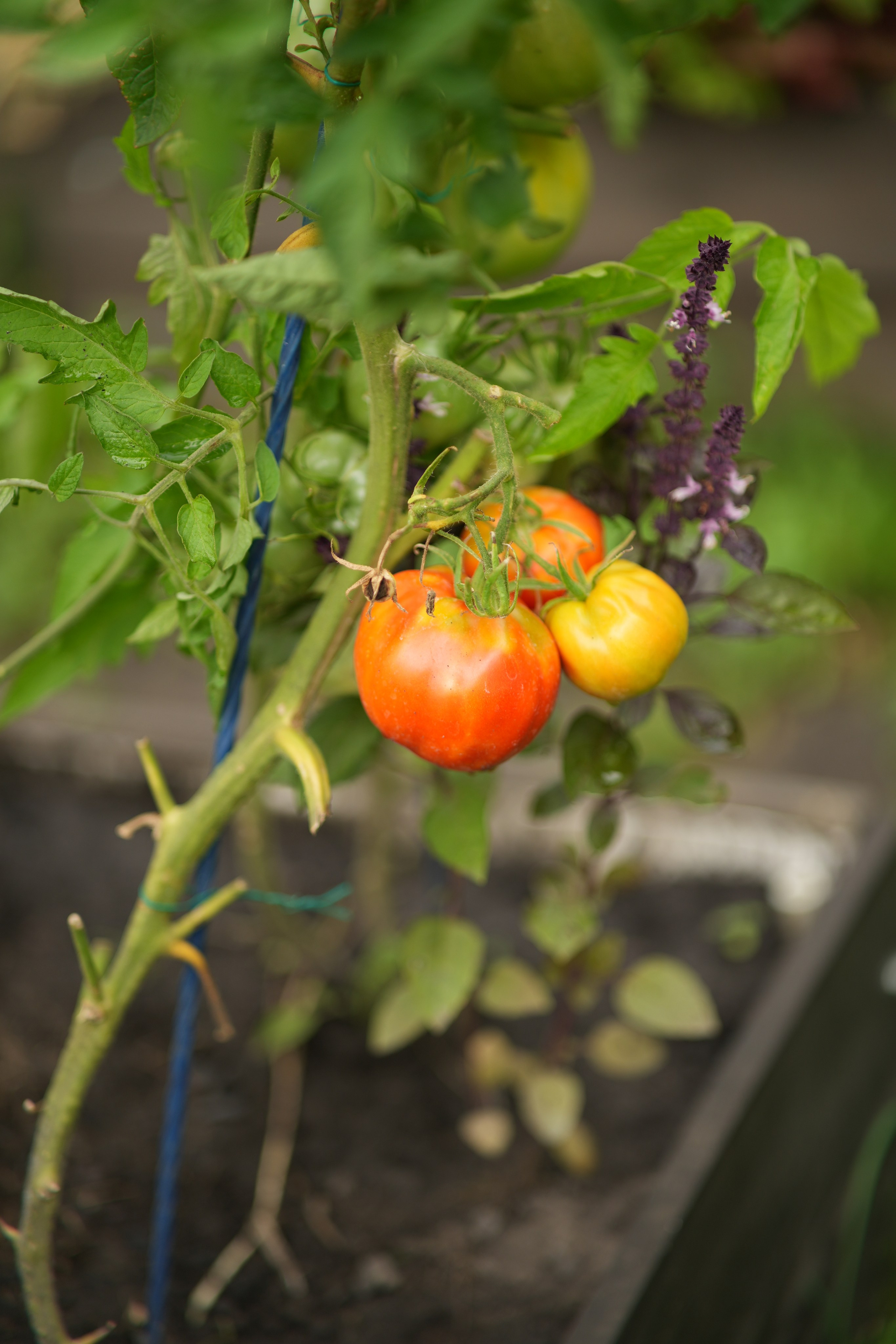 Час 1500 пример фотосессии пакет «ФОТО НА ПАМЯТЬ» (без обработки). Фотограф Нижний Новгород Татьяна Кэйод