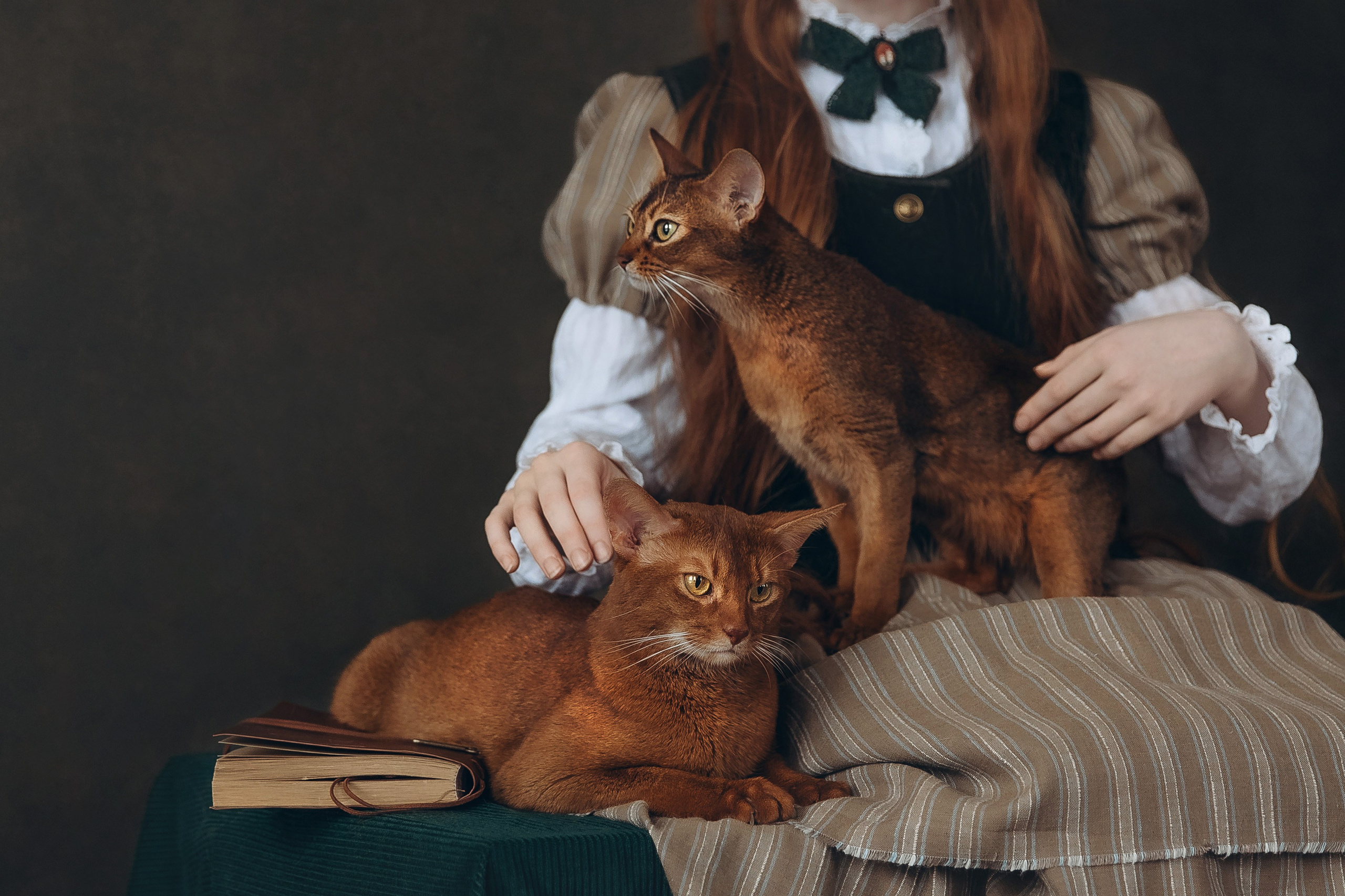 «Лучшие друзья». Фотограф Алина Ионычева в Новосибирске