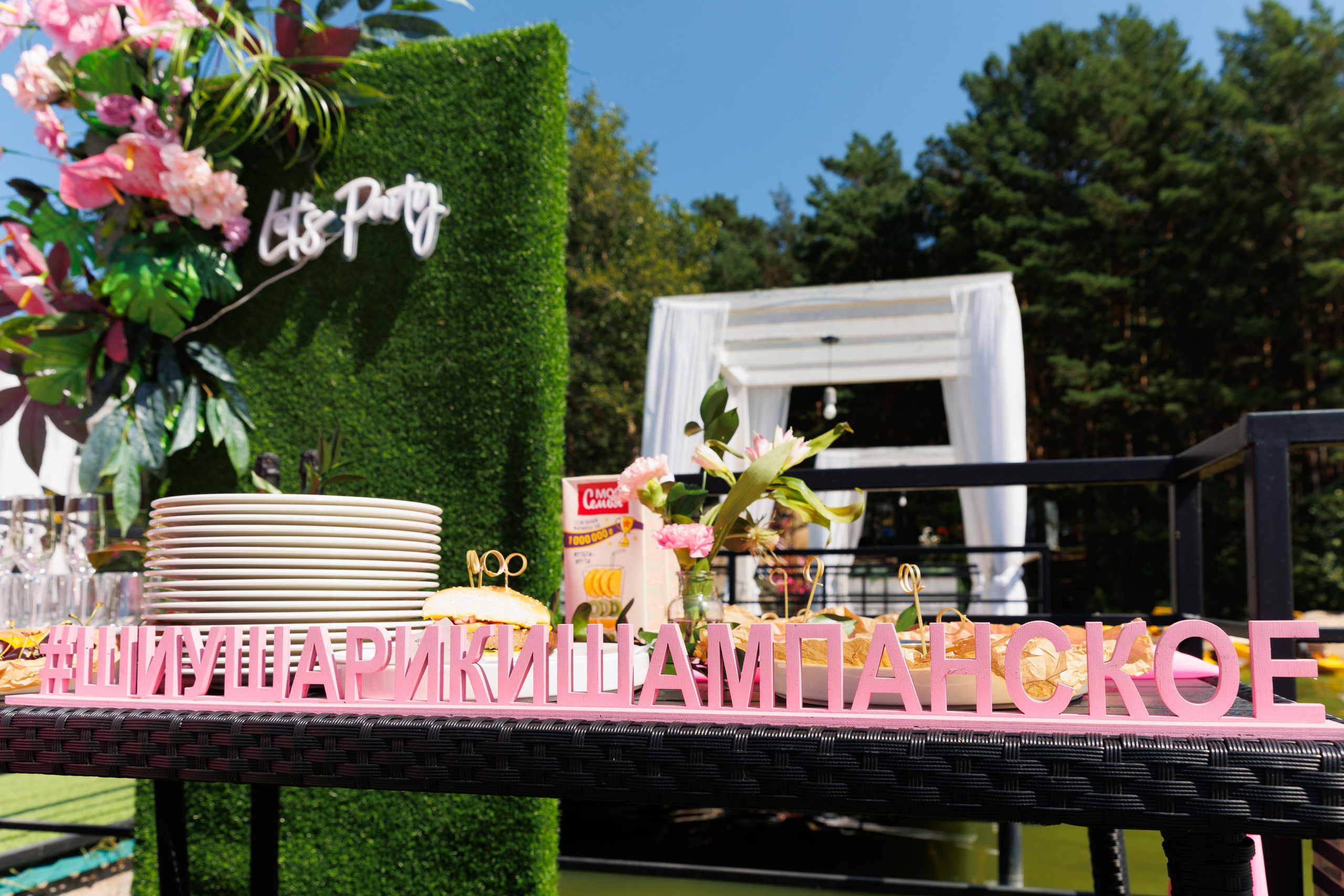 Летняя вечеринка декораторов ШИУ. Фотограф Новосибирск — Наталья Гресь