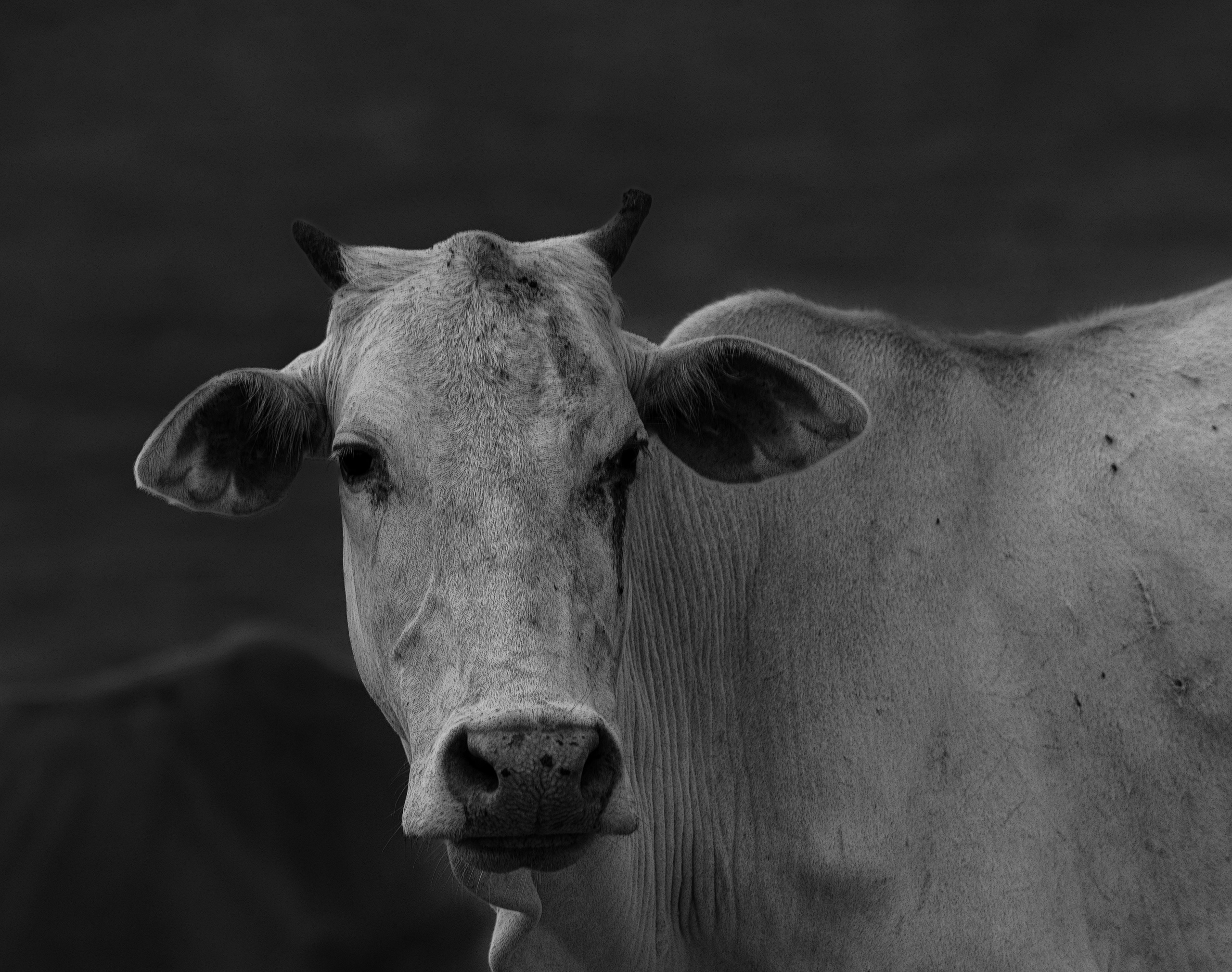 ABOUT. Art Рhotographer Russia/Moscow