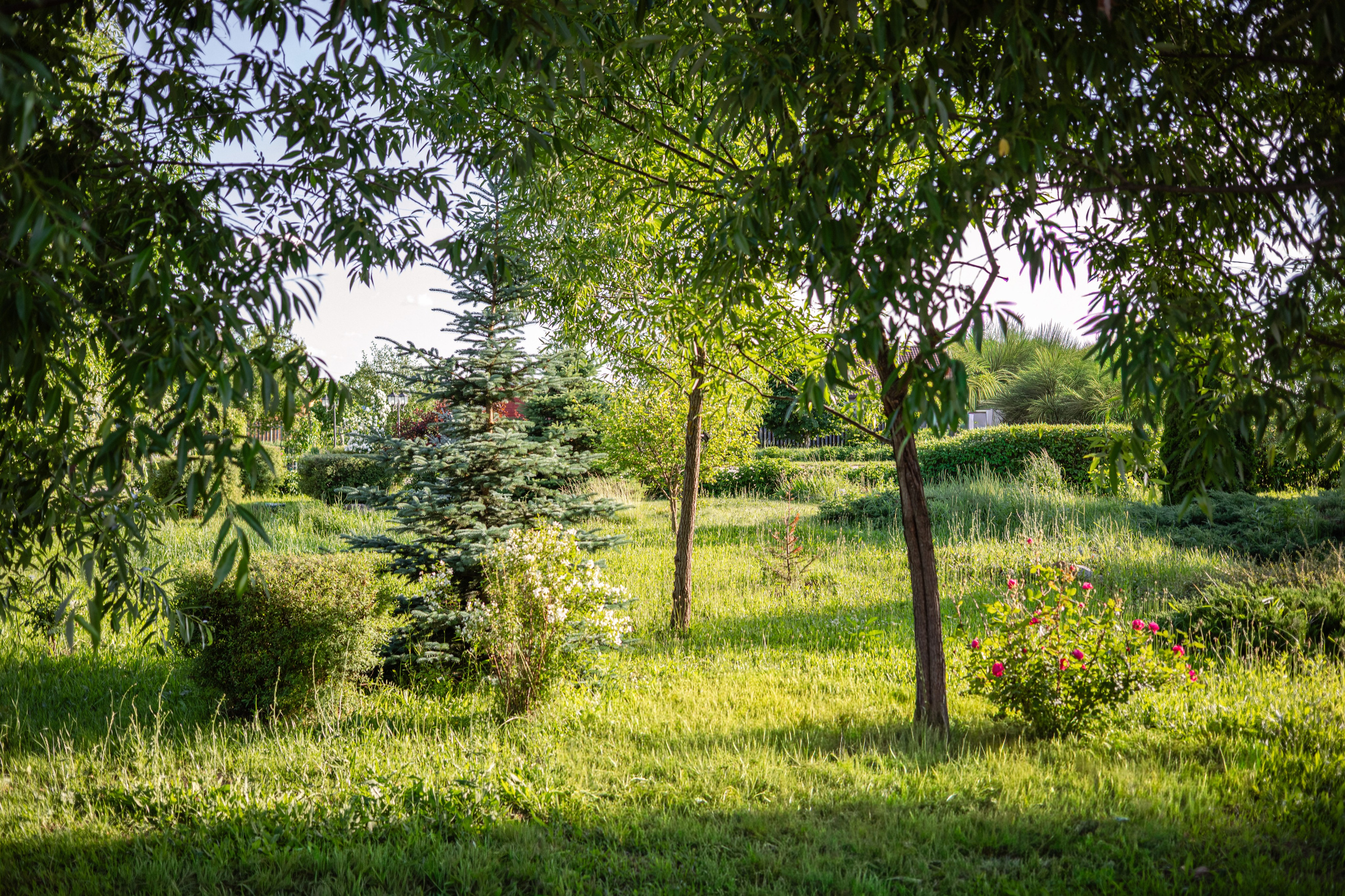 Соколиная Гора. Фотограф Алина Гашникова