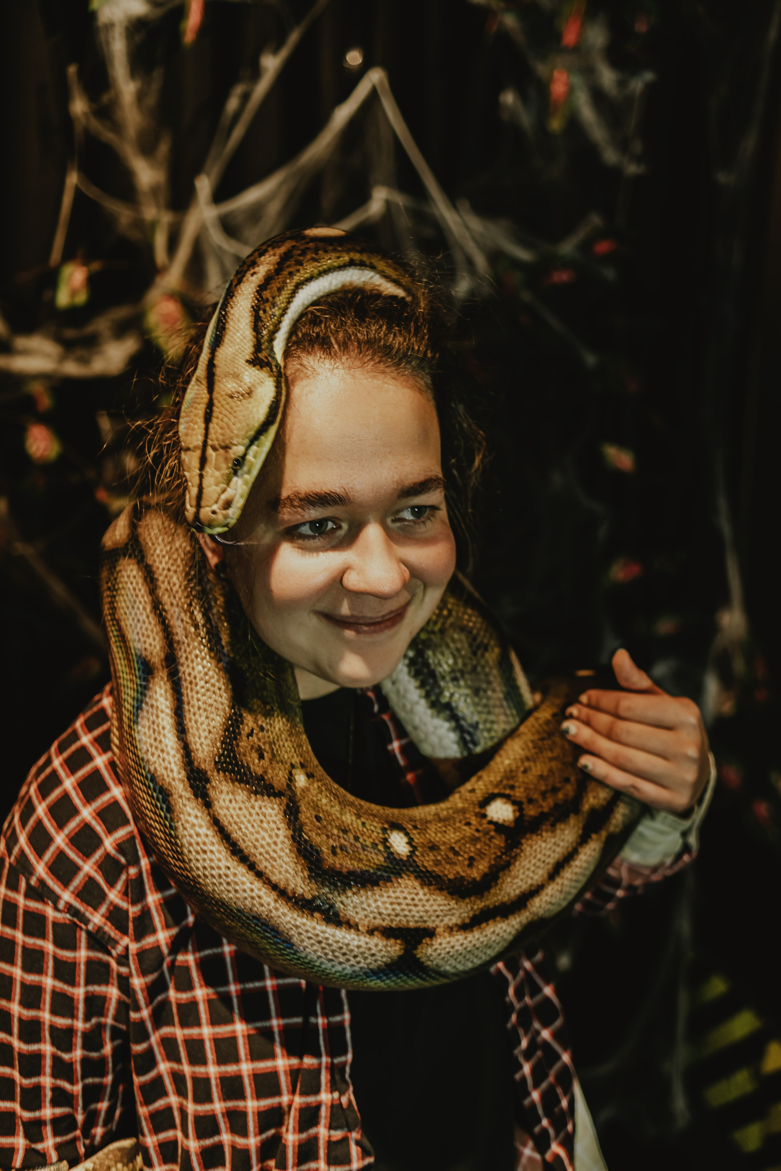 Дом Драконов. Nattie.ph