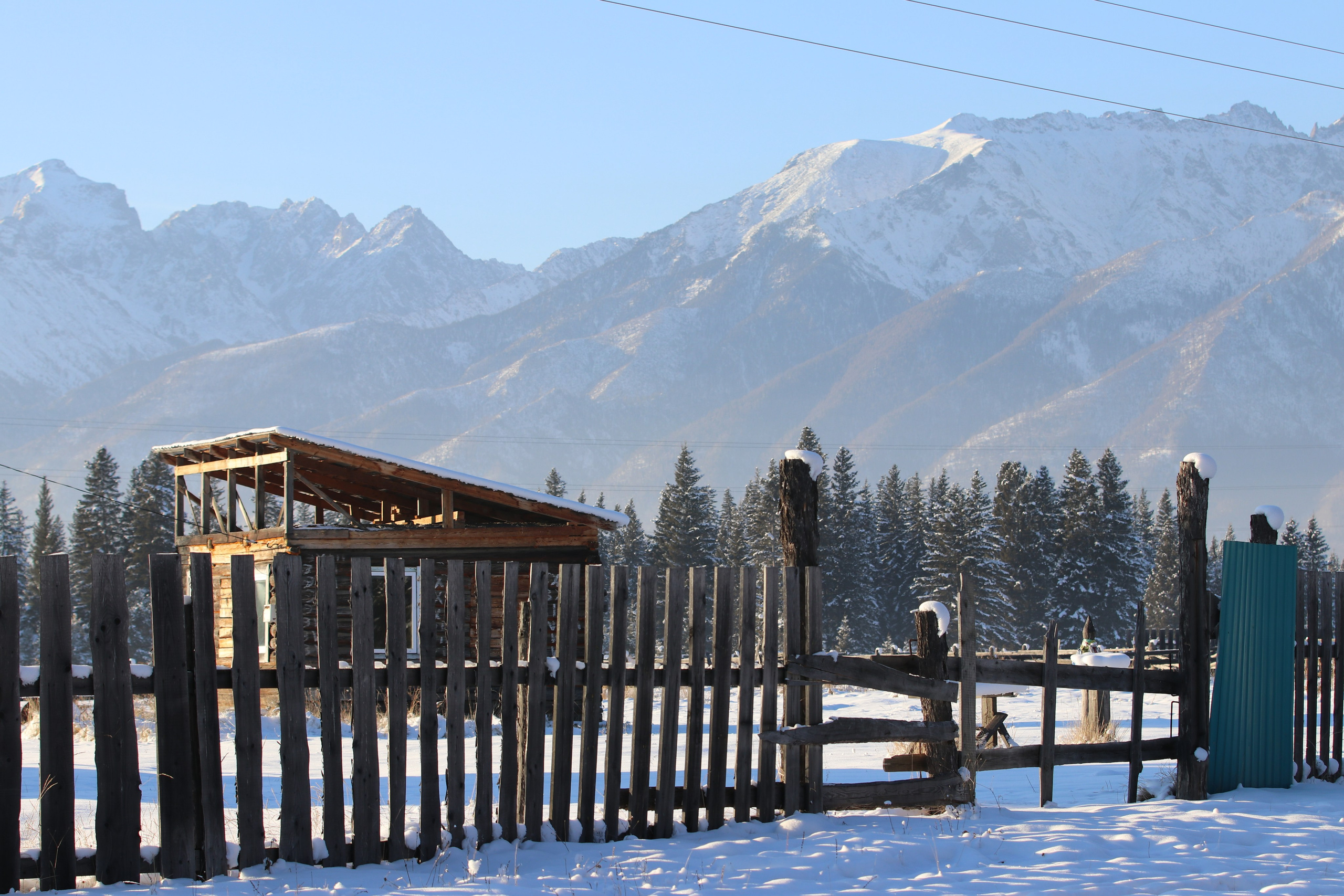 Аршан. Январь 2022. Путешественник-фотограф из Санкт-Петербурга Татьяна Свистулина