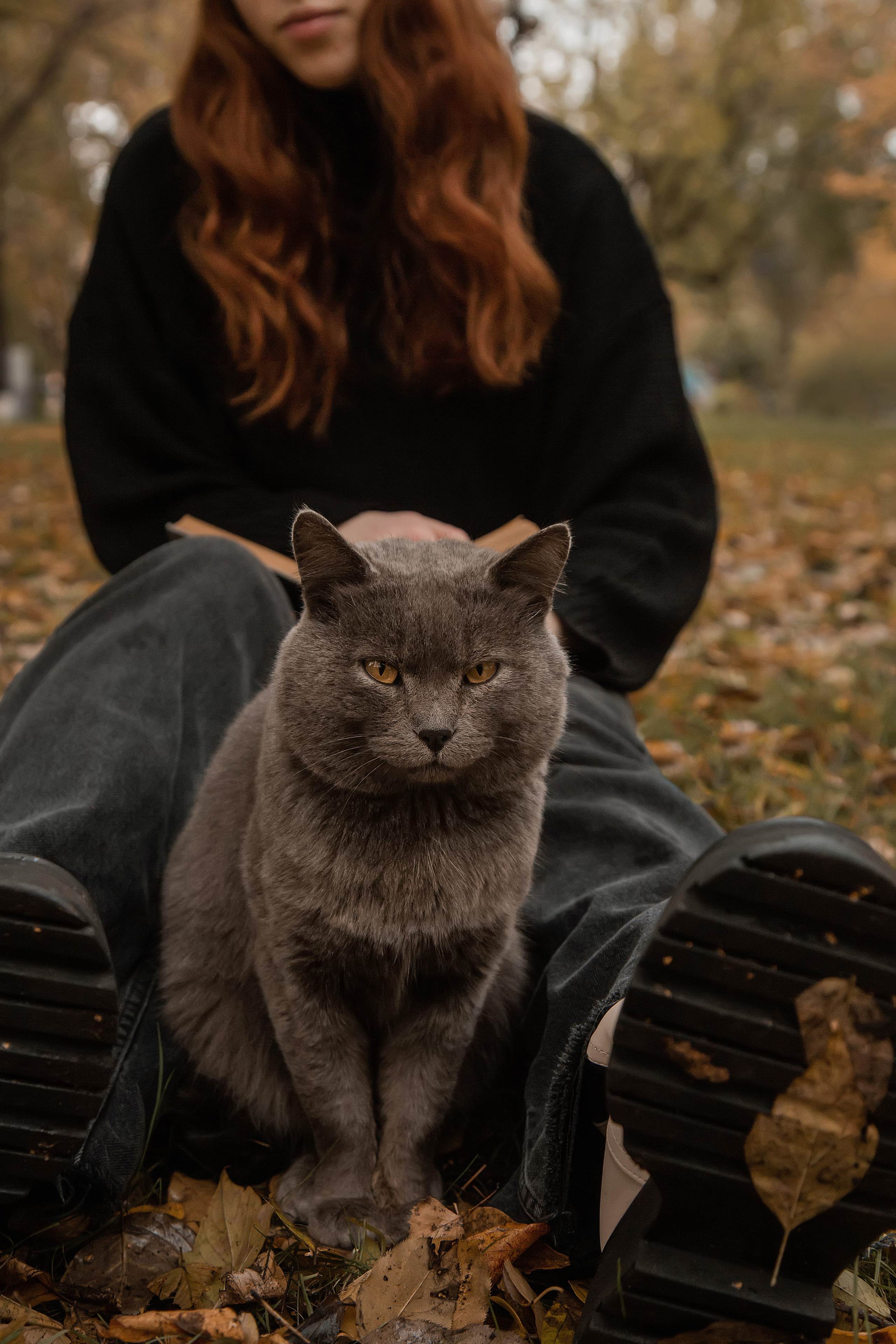 ОСЕНЬ. Фотограф в Киселёвске Татьяна Трухалева