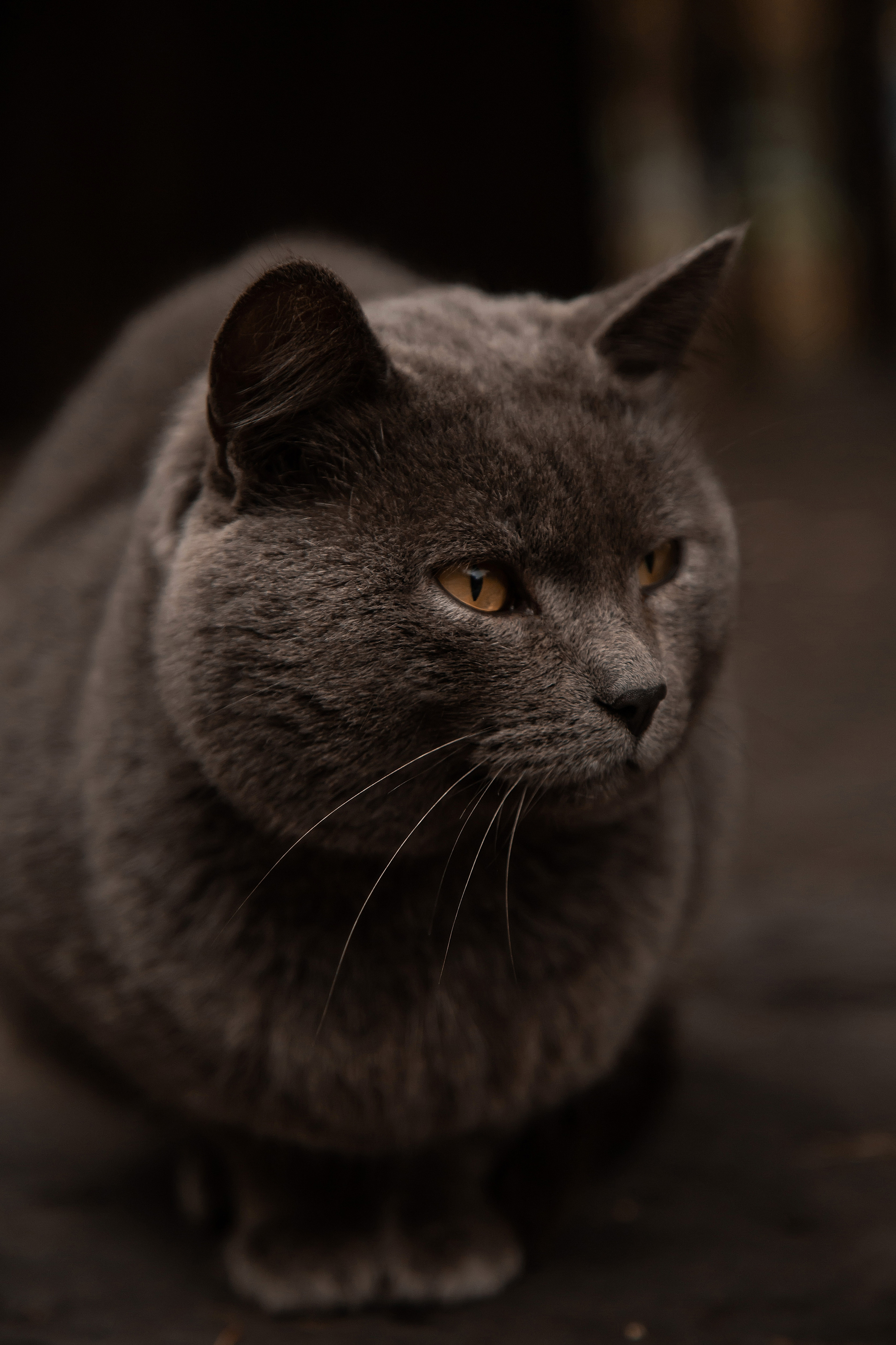 ОСЕНЬ. Фотограф в Киселёвске Татьяна Трухалева