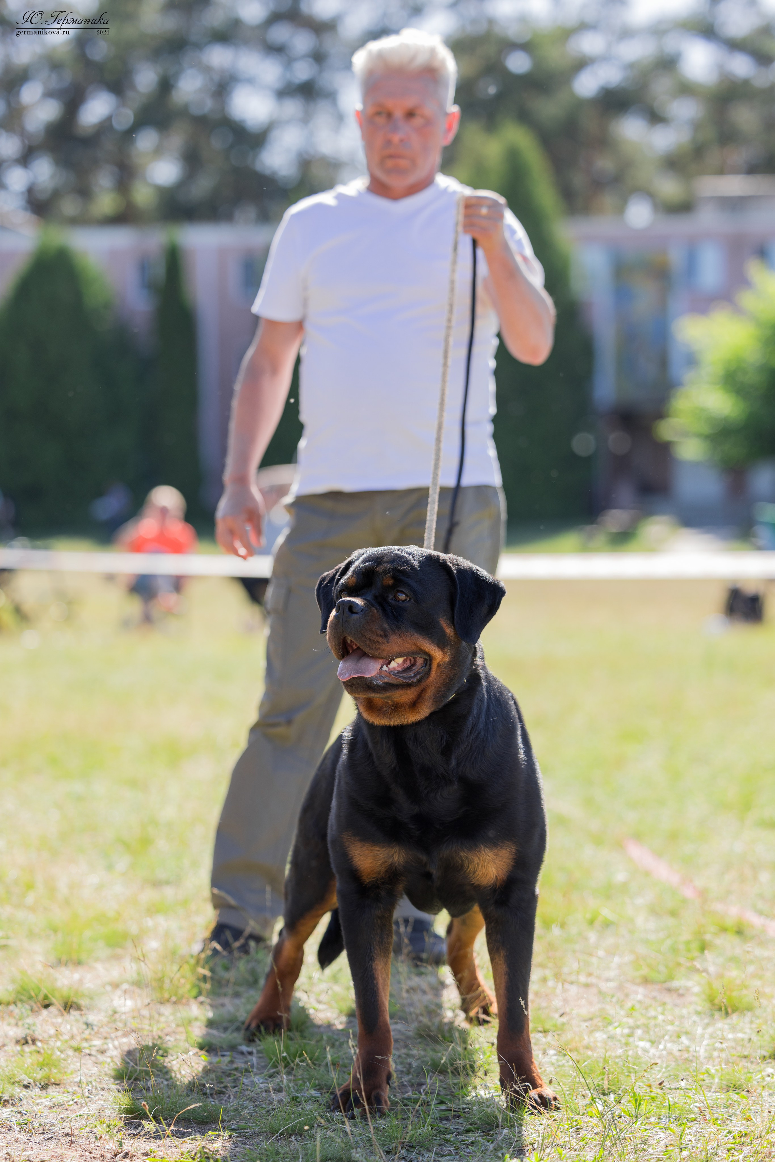 Воронеж моно ротвейлеров 25-26.05.2024. Фотограф-анималист Юлия Германика