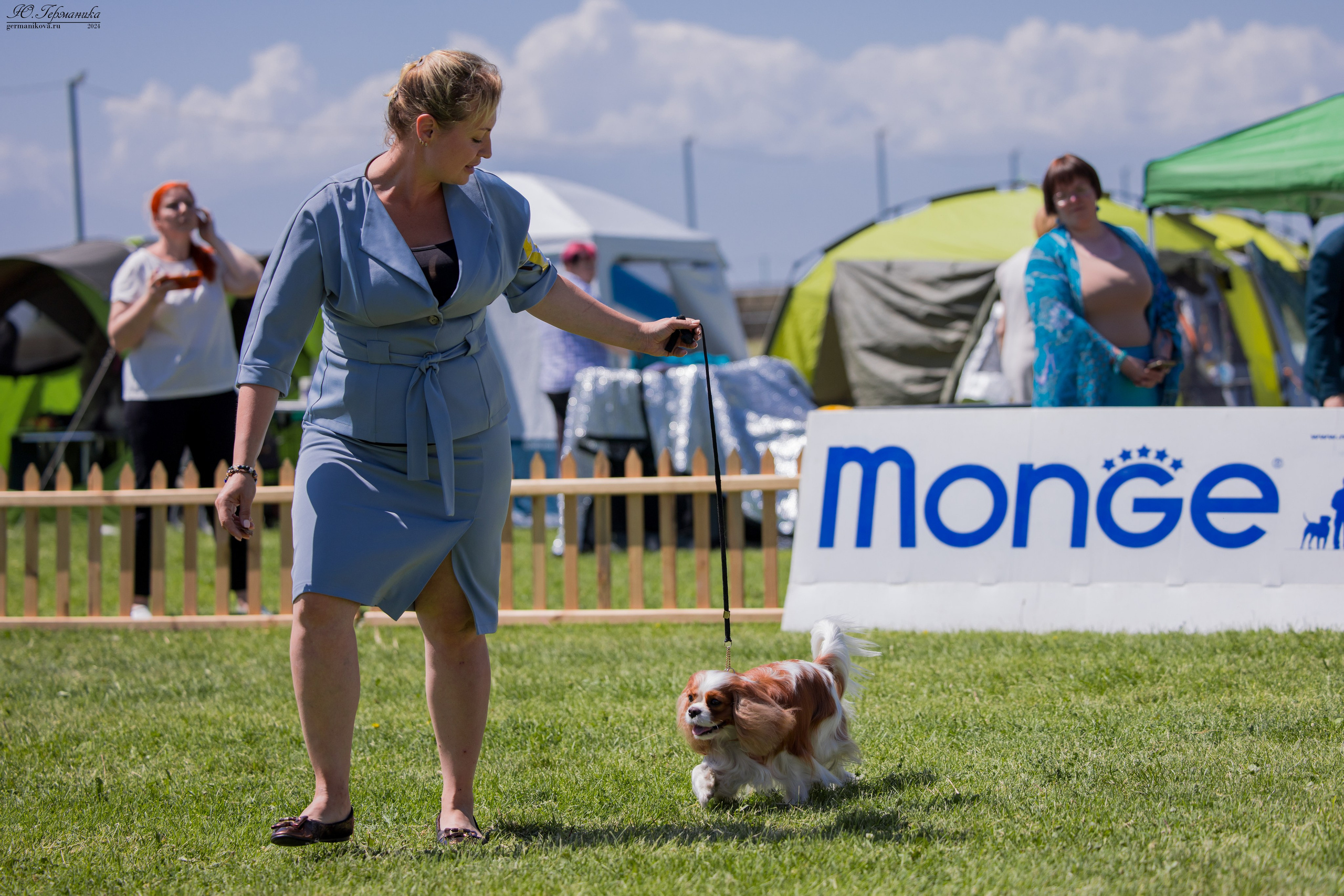 Ереван 3-5.06.2024. Фотограф-анималист Юлия Германика