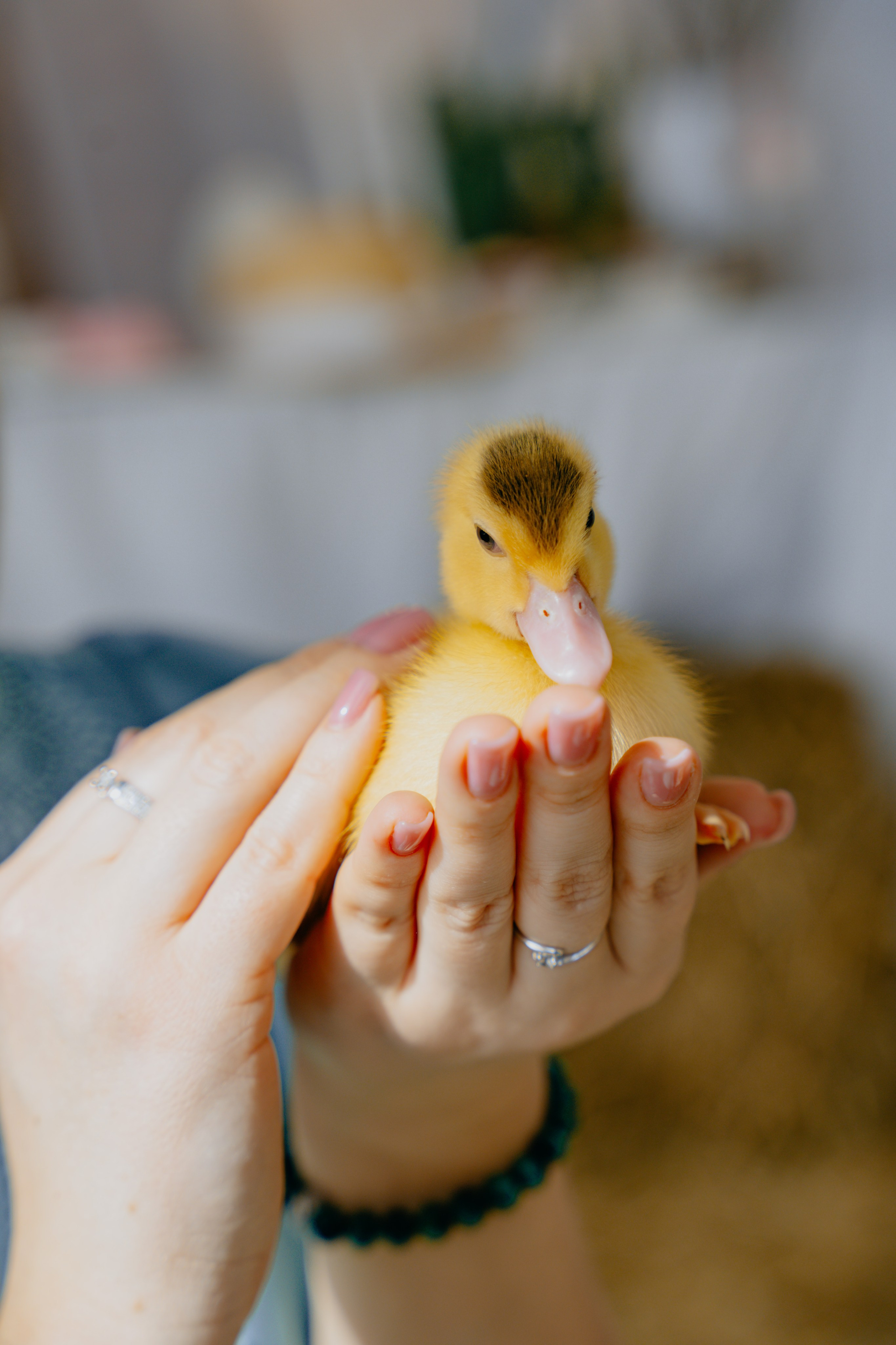 Счастливая Пасха