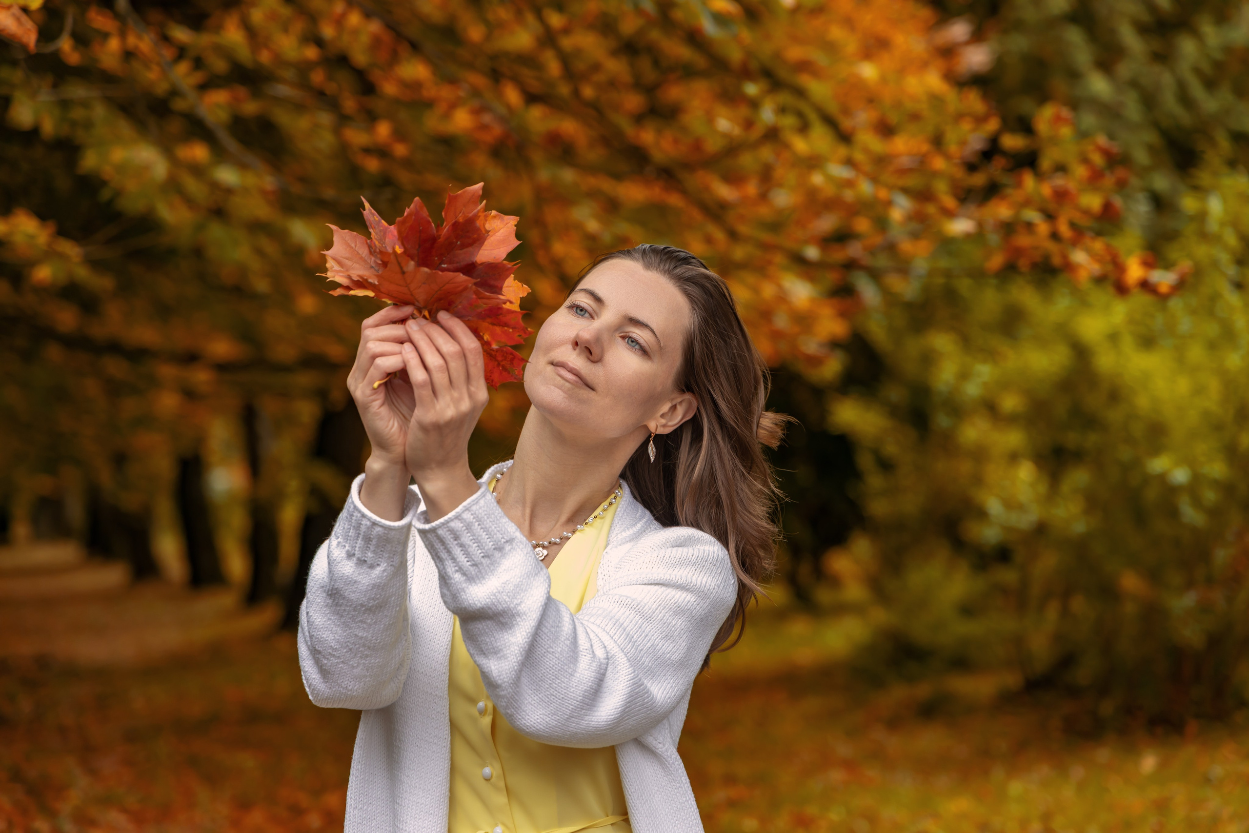 Жёлтая осень и ретро-велосипед. Репортажный, семейный и студийный фотограф в Москве Демин Алексей
