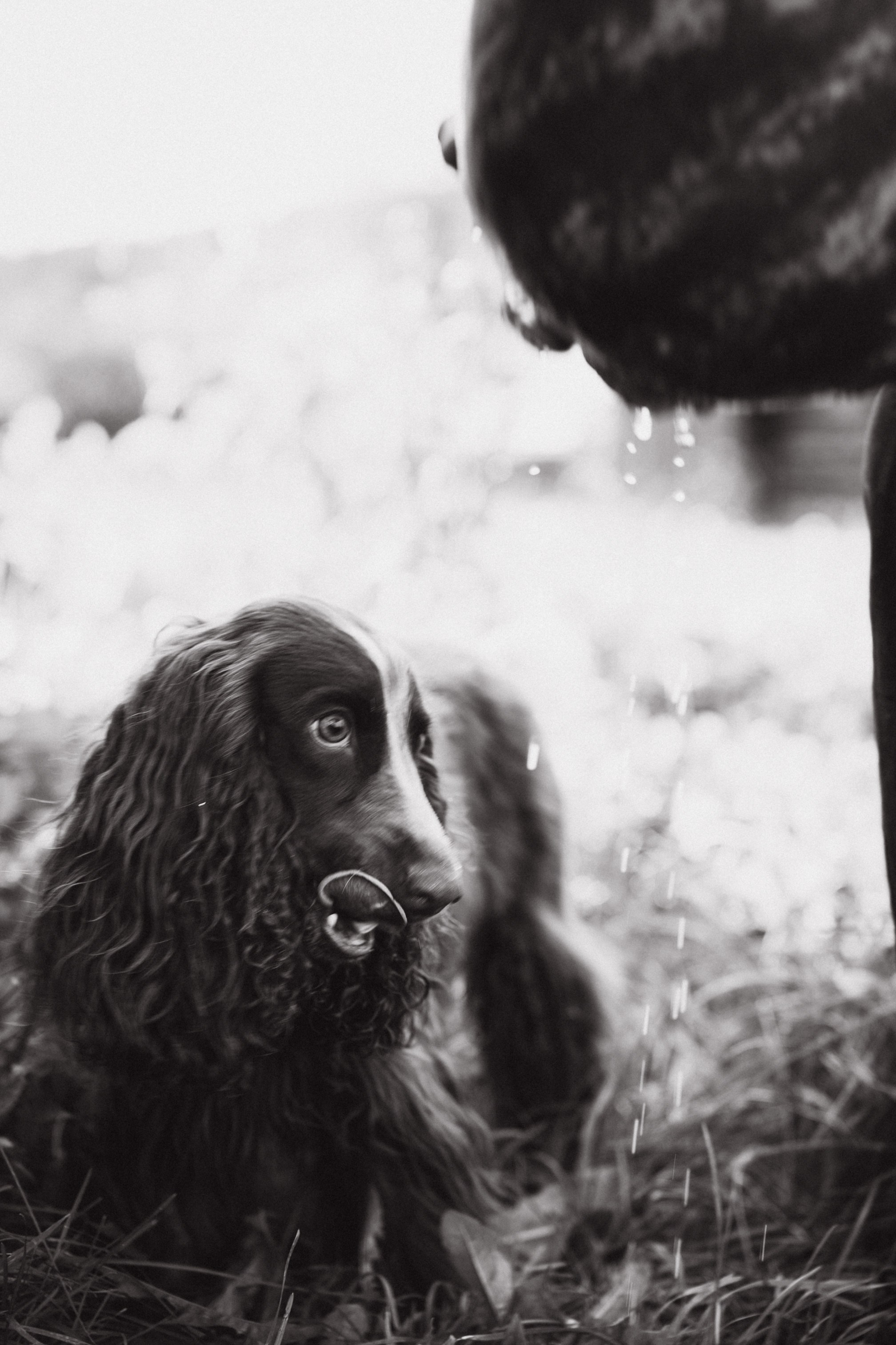 Семейная история. Семейный свадебный фотограф Екатеринбург Первоуральск Шарнина Алёна