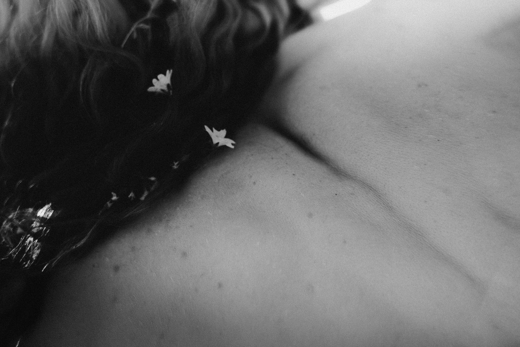 Обсидиан. Алиса Аницкая