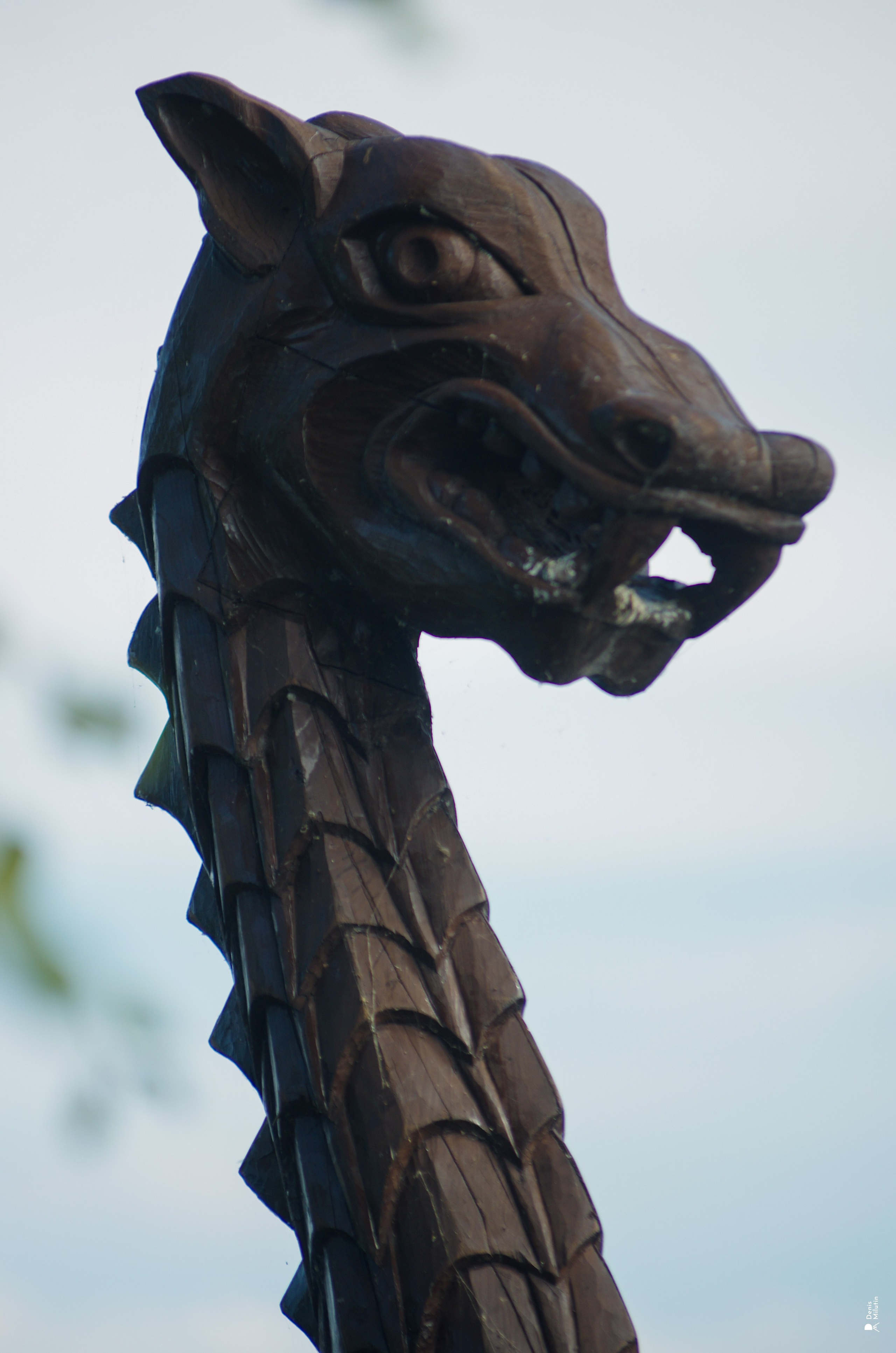 Кижская регата 2025. Портретный фотограф Денис Милютин