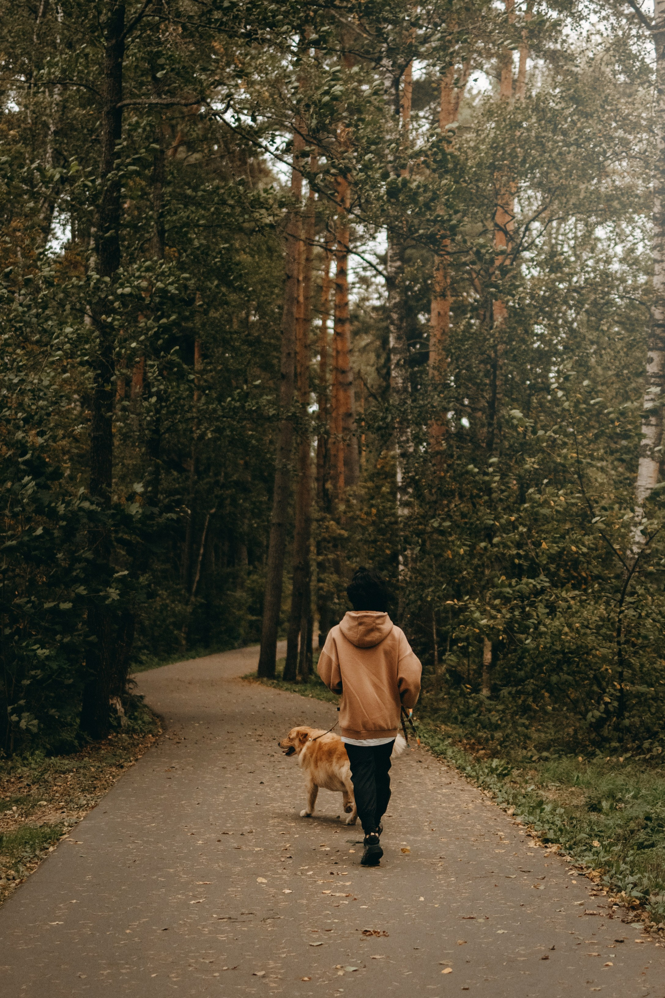 Фоси и его семьи. Фотограф — Анималист | Санкт-Петербург
