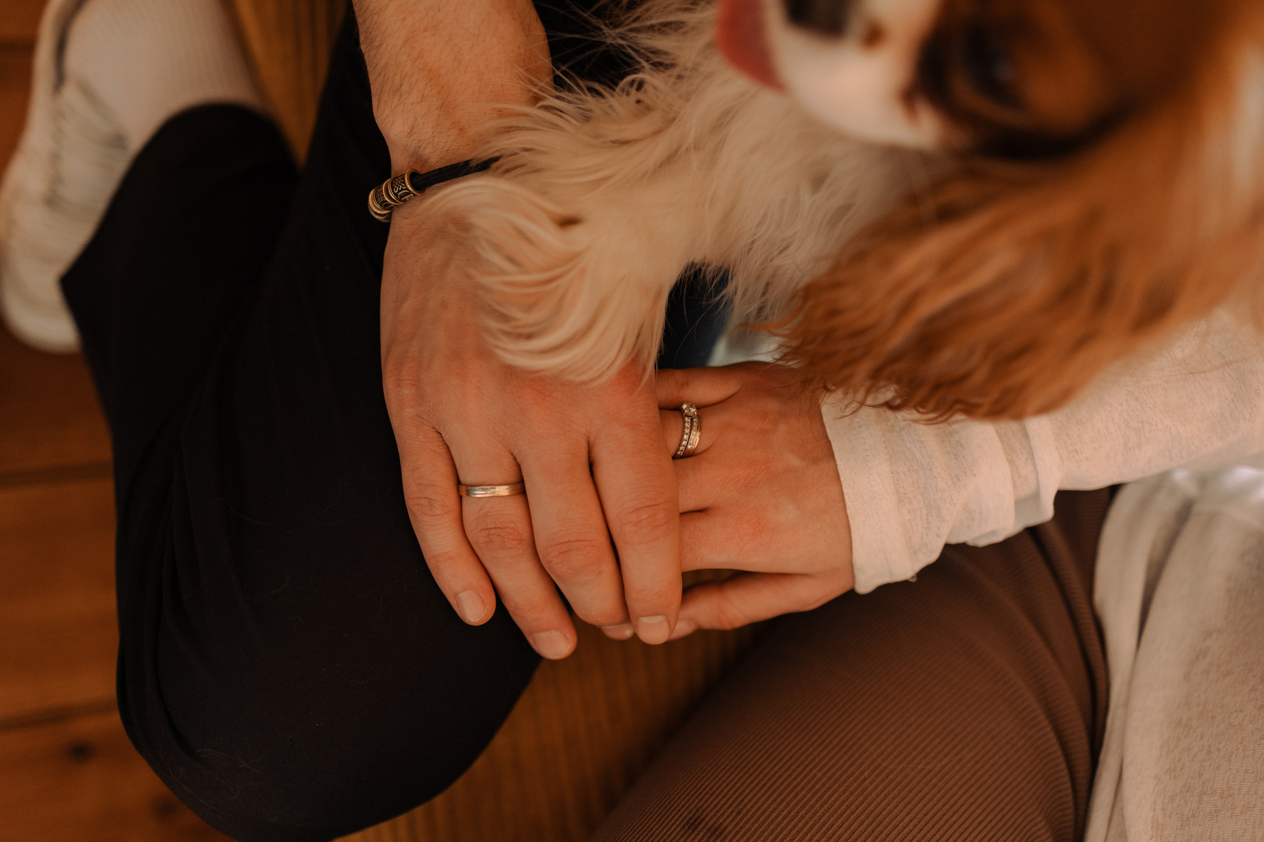 Шерри и ее семья. Фотограф — Анималист | Санкт-Петербург