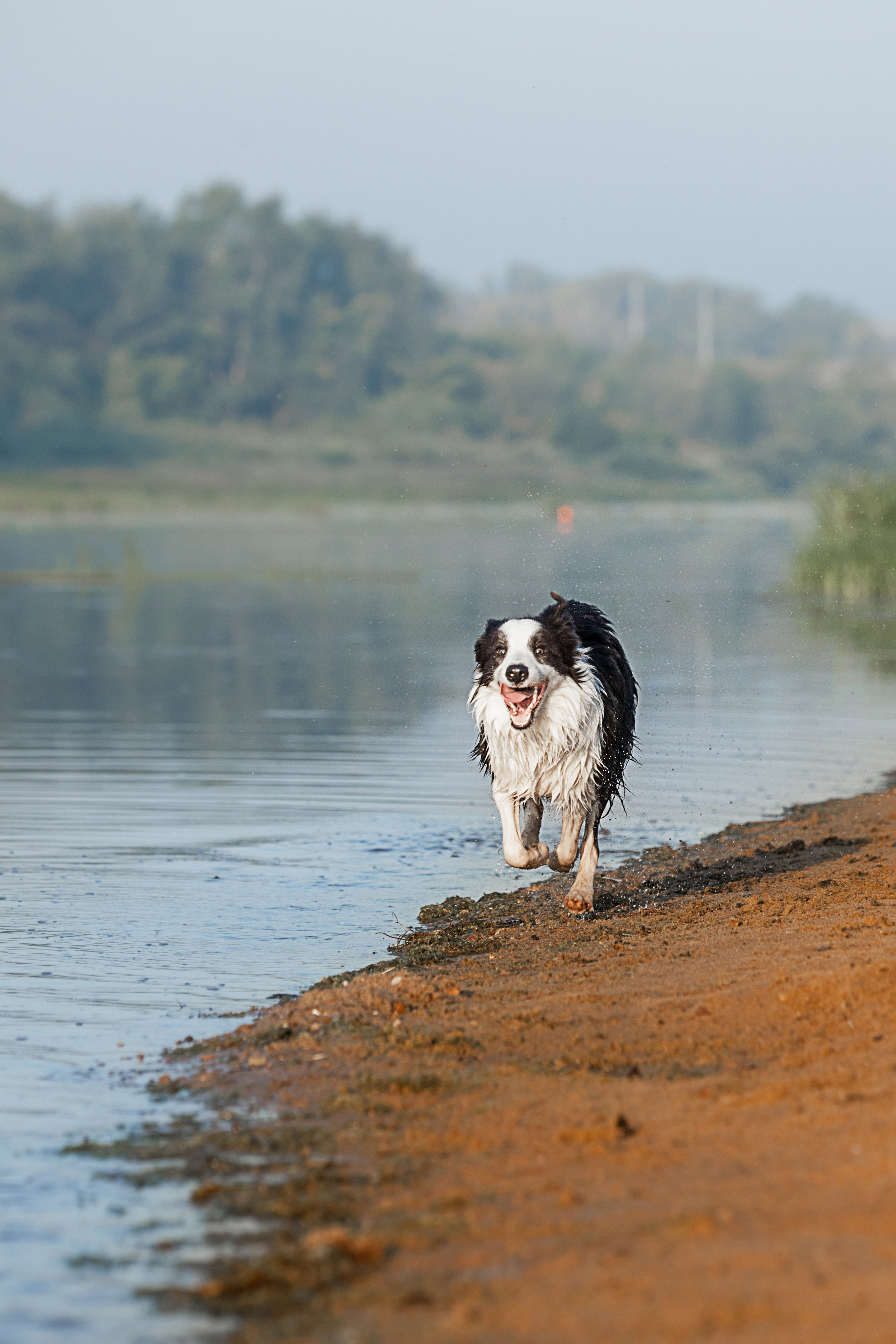 Сочный рассвет, на который решились. О нас