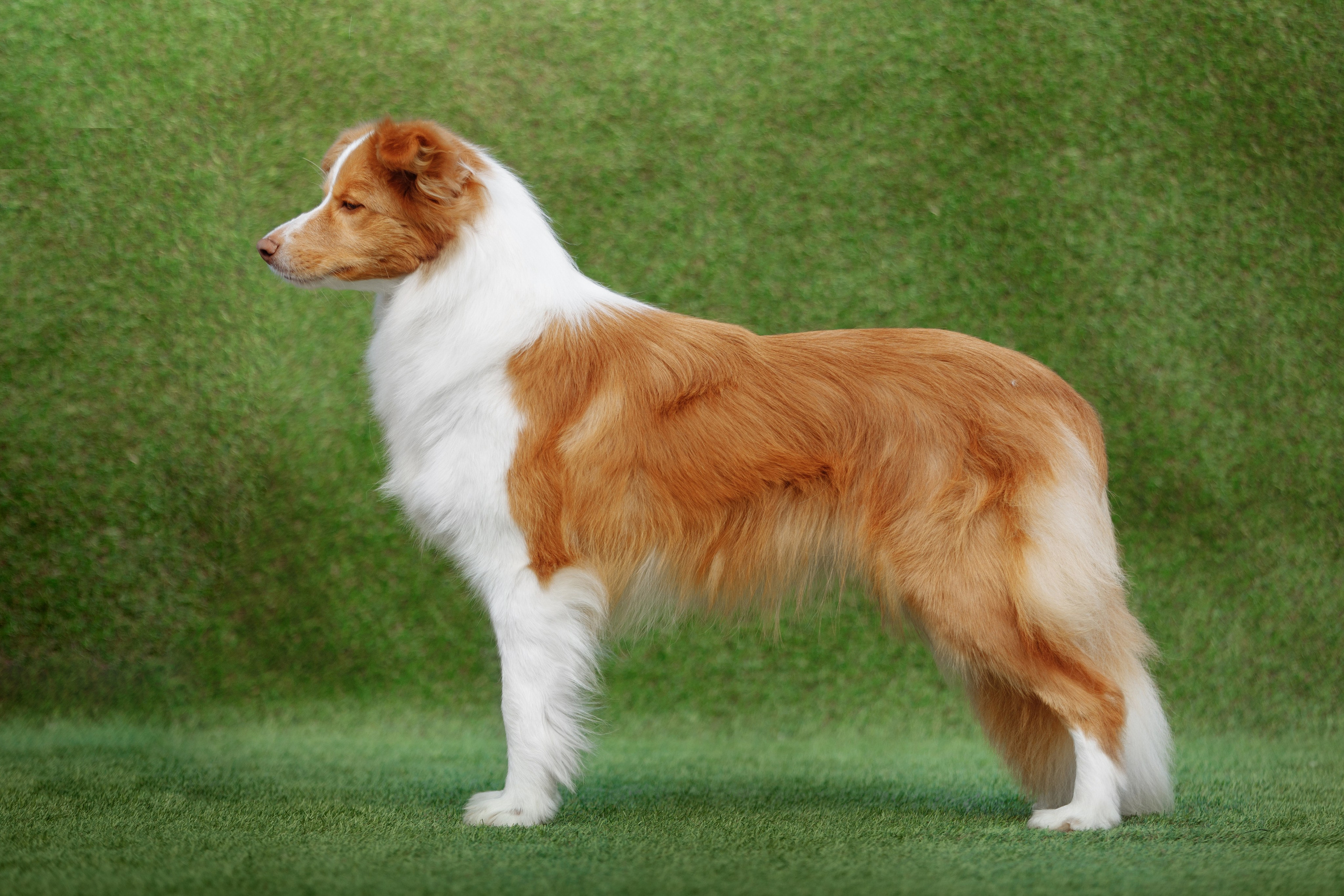 Свое место. О нас