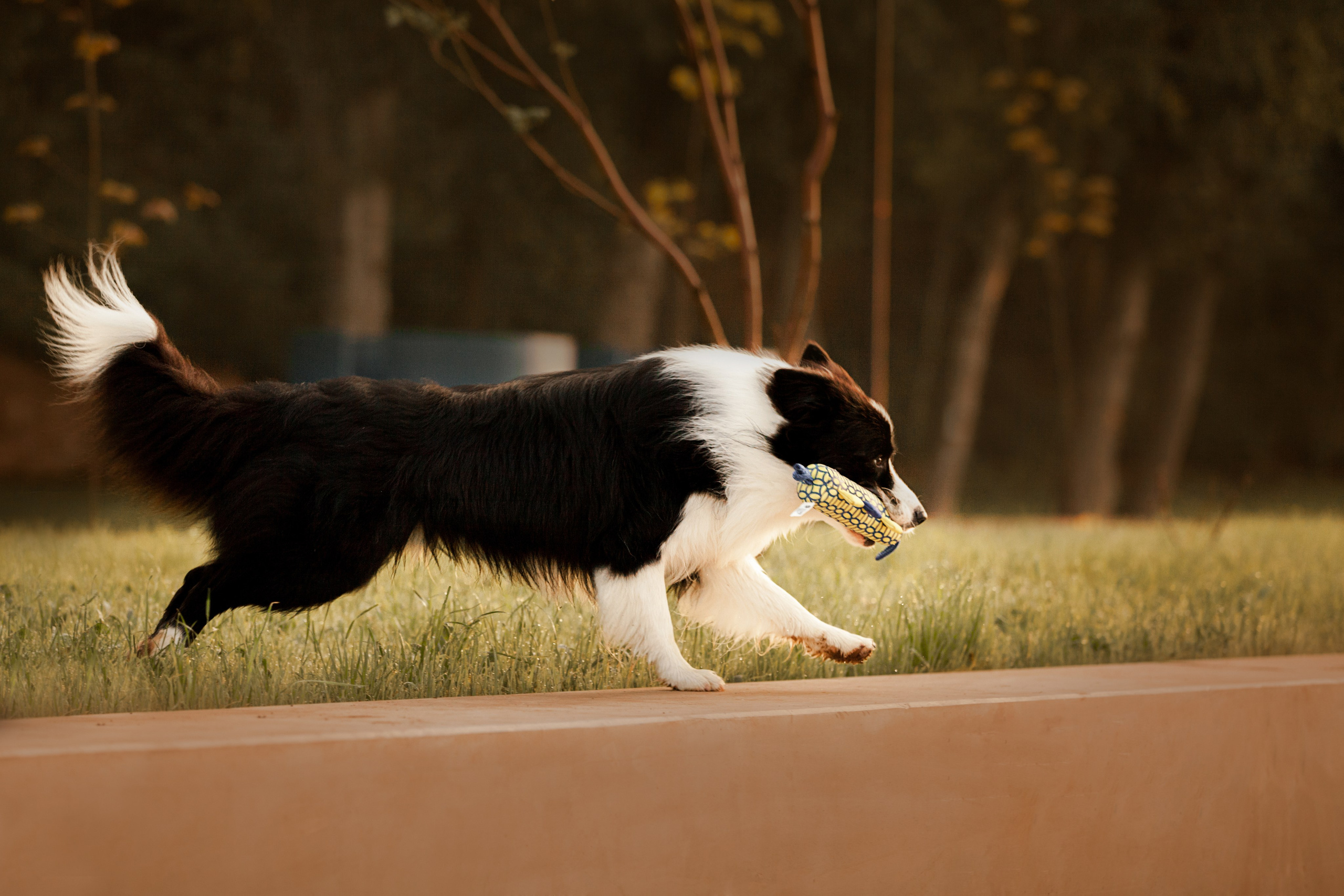Сочный рассвет, на который решились. О нас