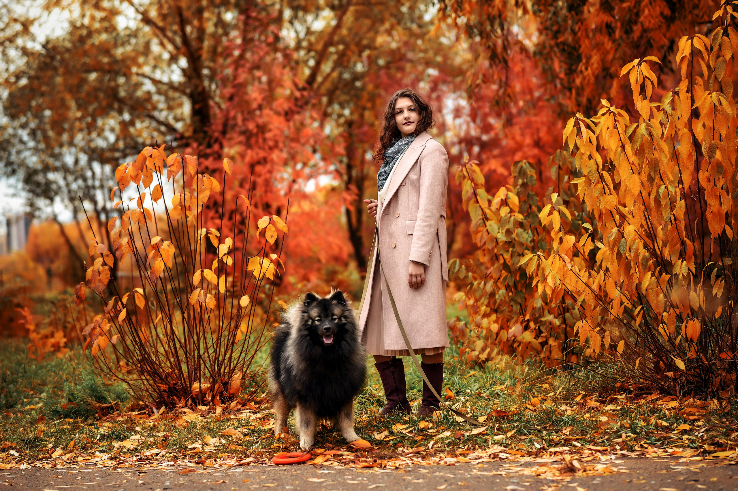 Осенняя прогулочная. Свадебный, семейный, детский, контент фотограф в Омске Максим Ильин