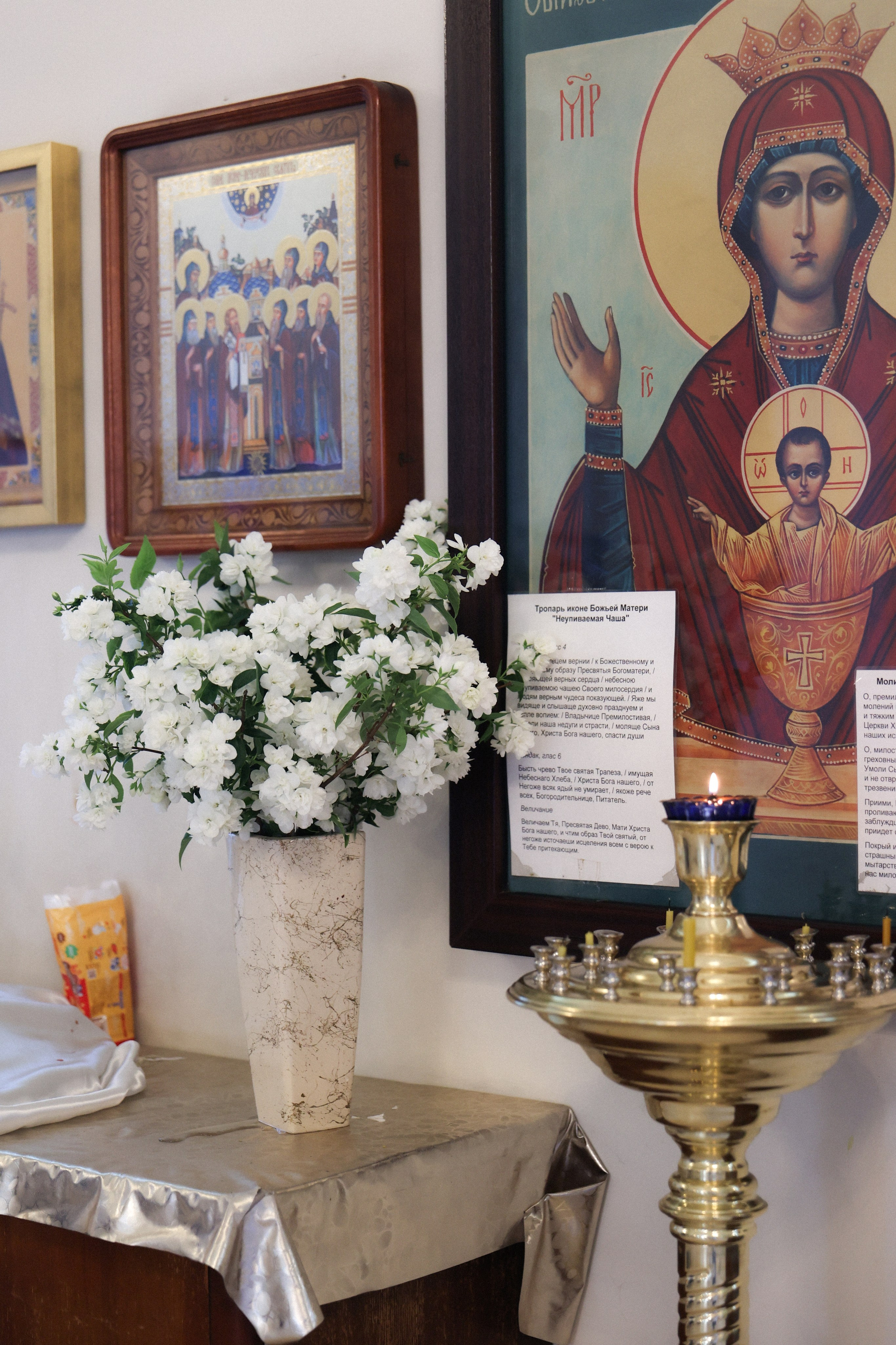 Милания. Фотограф НатаФото (Наталья Яковенко) Дмитров Москва Питер