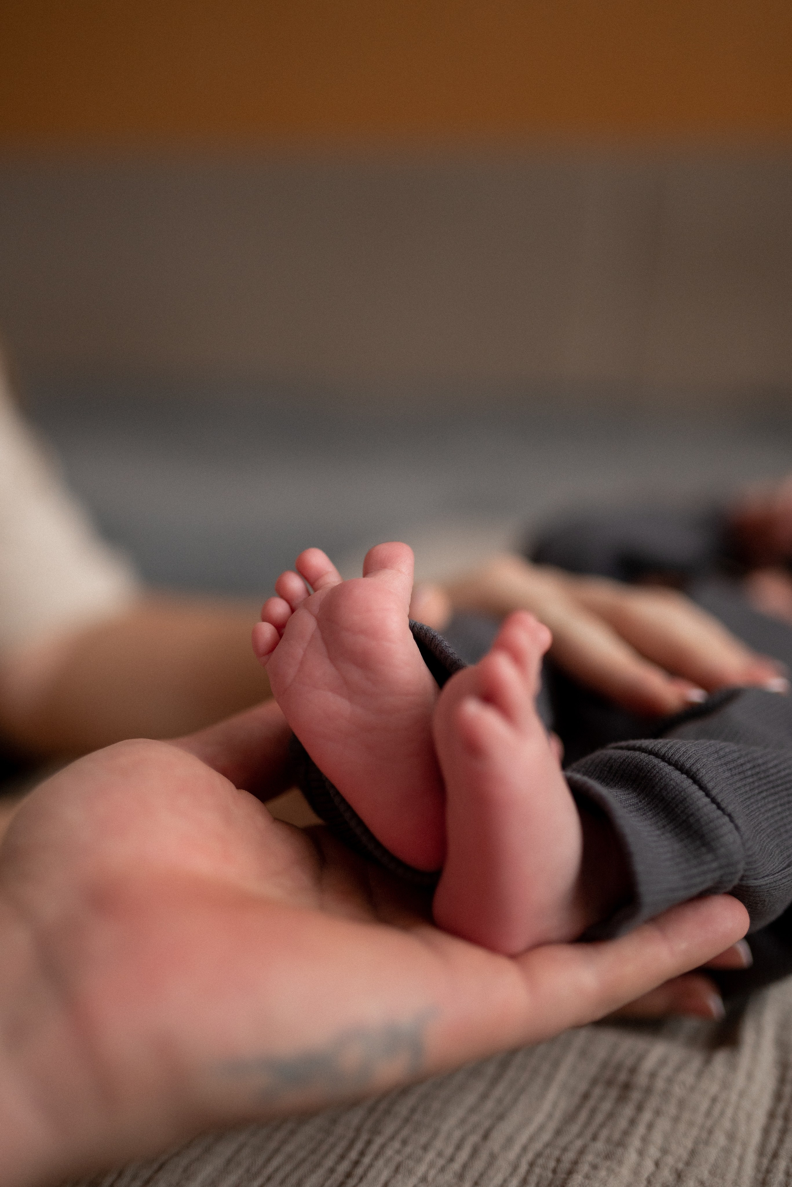 Мирон. Семейный фотограф Ирина Сгибнева