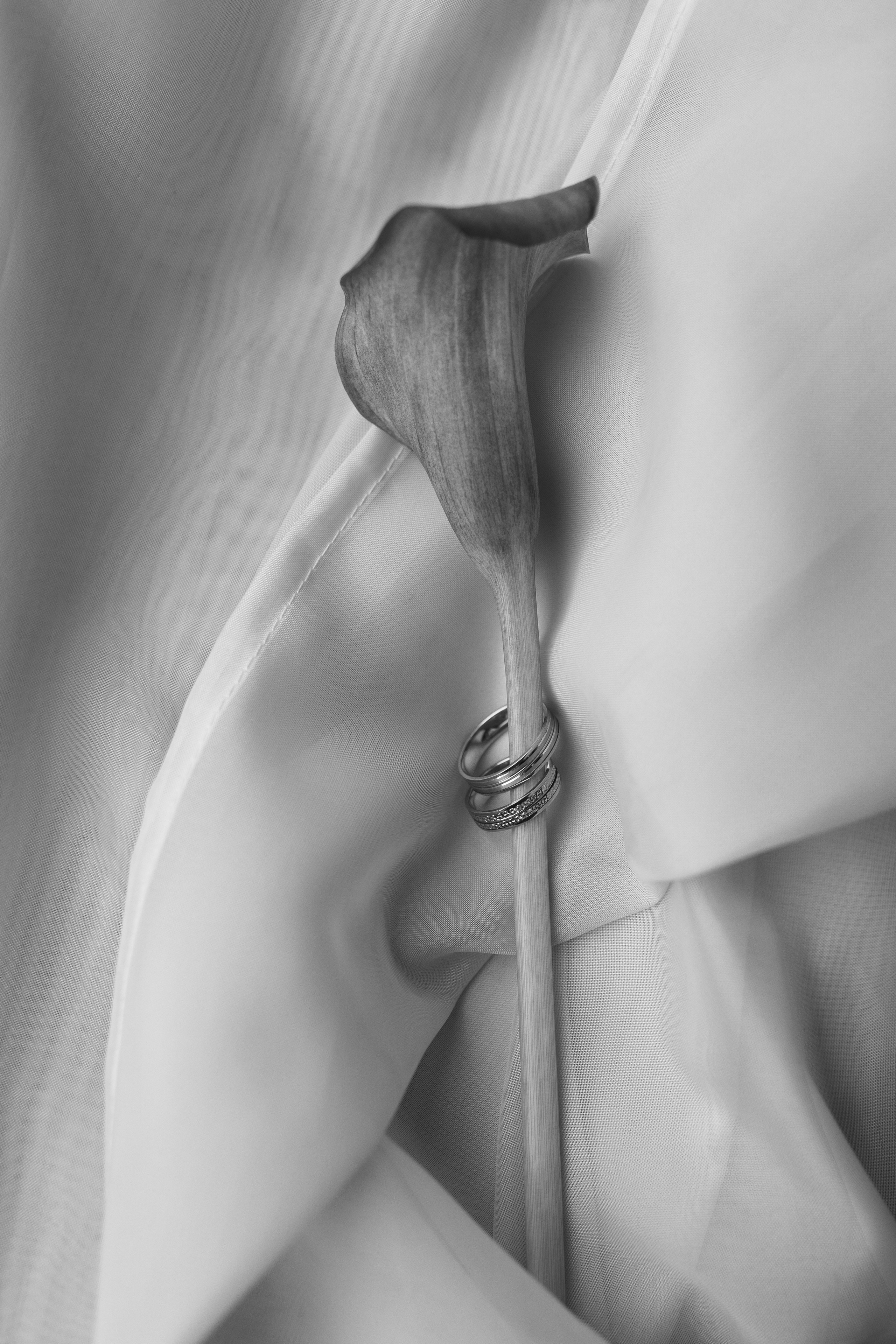 Свадебный фотограф Елена Рубцова