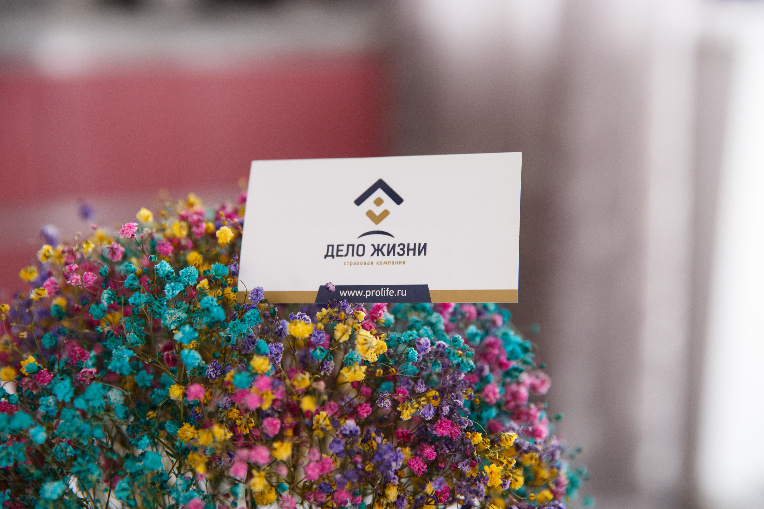 Людмила. Женский и контент фотограф Люба Пунанцева. Северодвинск. Архангельск