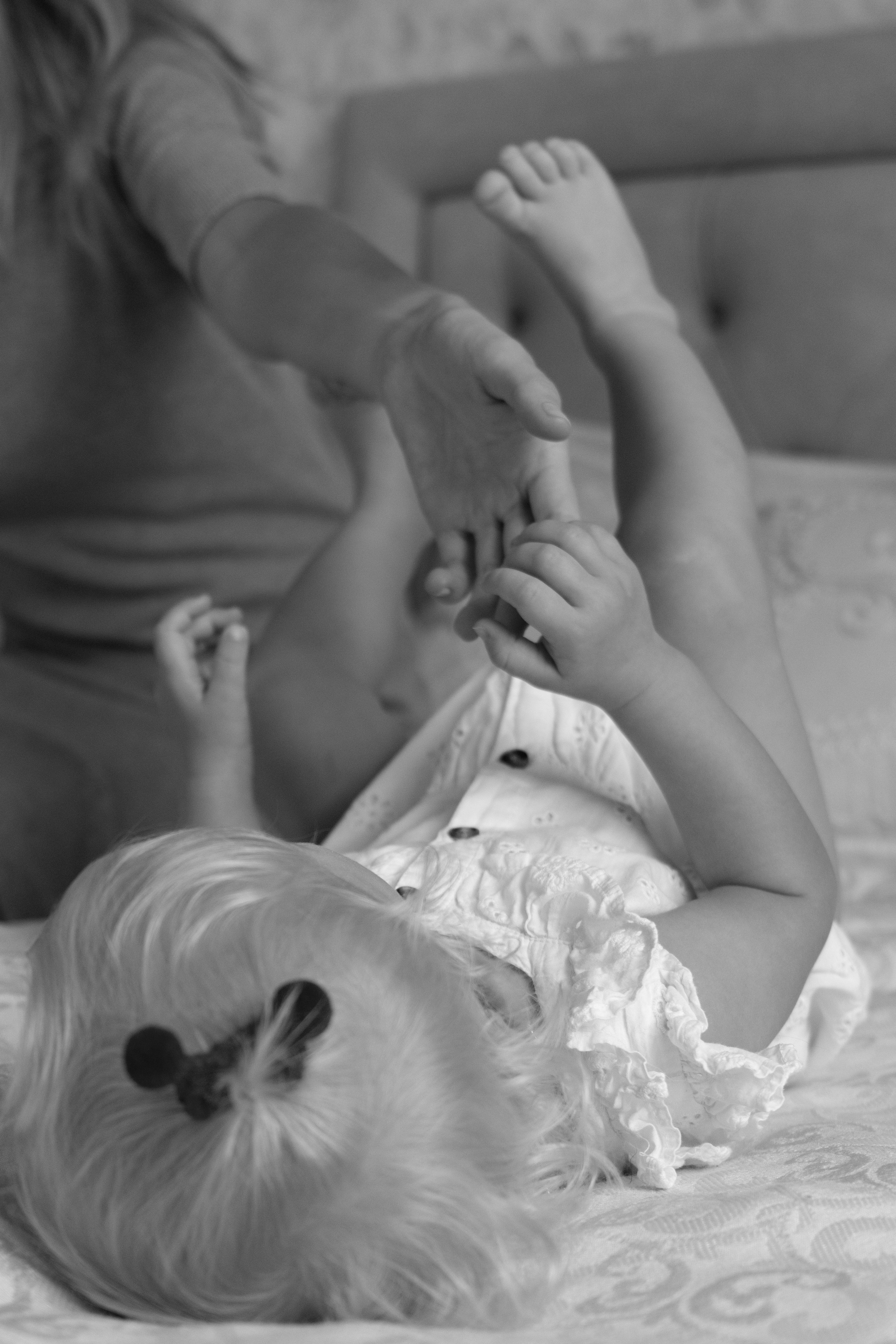 Семейная фотосессия дома. Фотограф видеограф Ольга Василевская