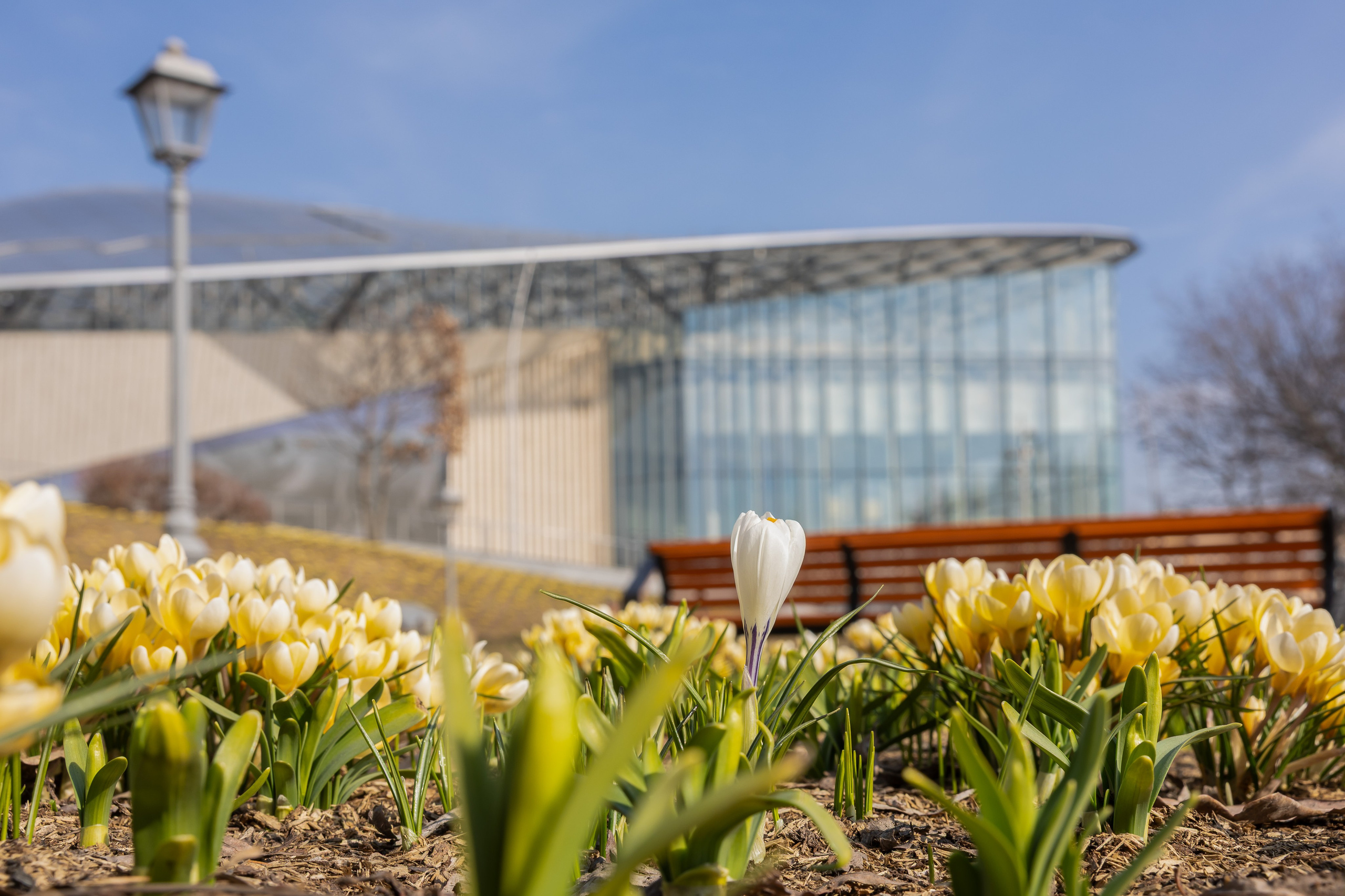 Городской пейзаж. Фотограф Владимир Охрименко