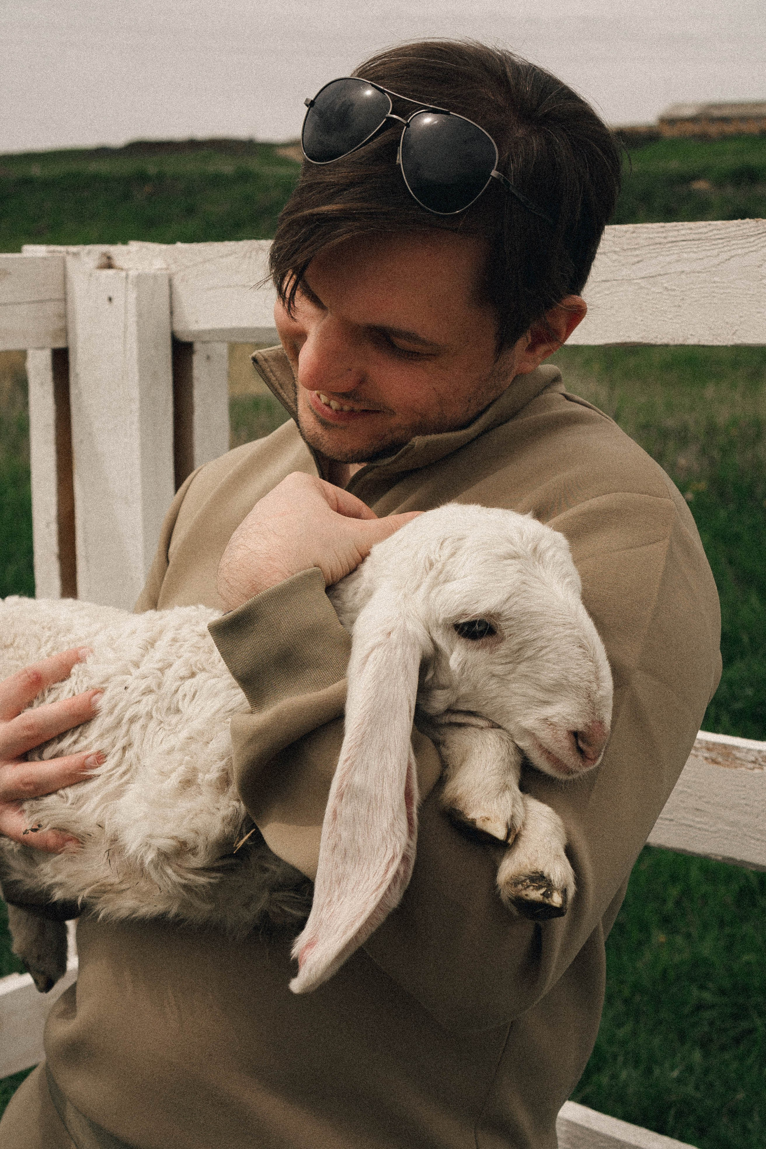 Ферма Альпак. Профессиональный фотограф, Санкт-Петербург — Виктория Богомолова