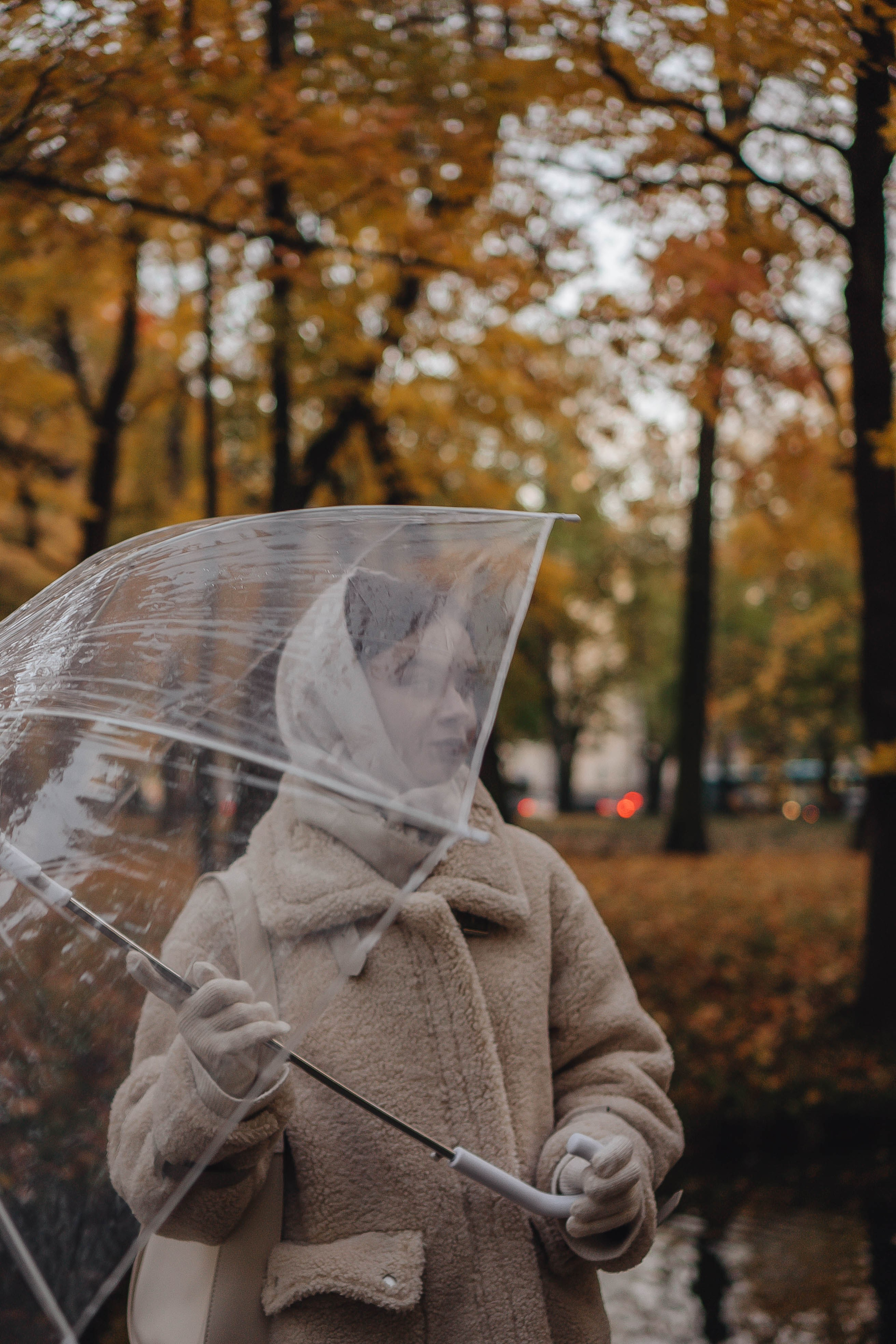 Осенняя. Профессиональный фотограф, Санкт-Петербург — Виктория Богомолова