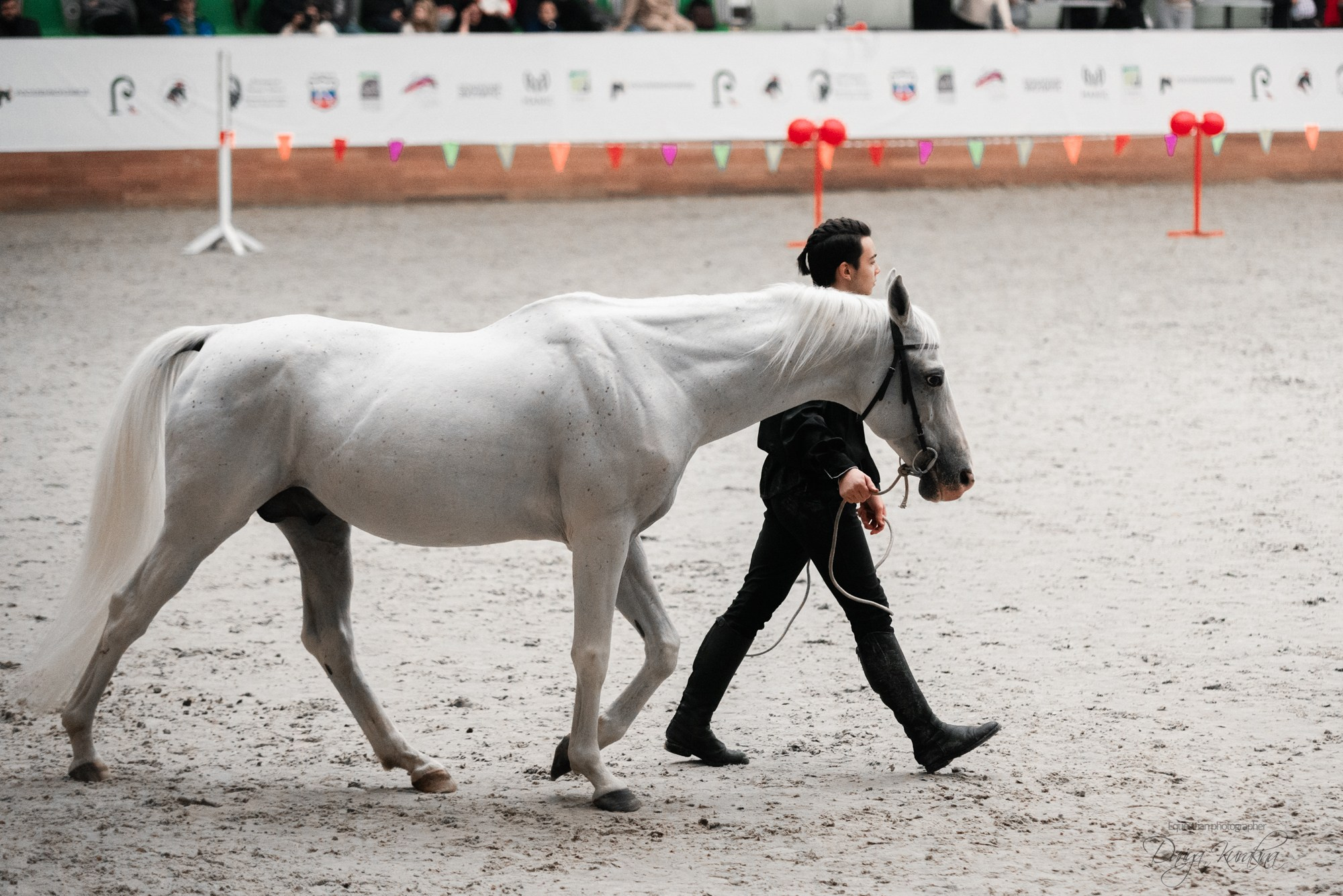 8-я международная выставка Конная Россия. Конный фотограф Куракина Дарья • Фотосессии с лошадьми
