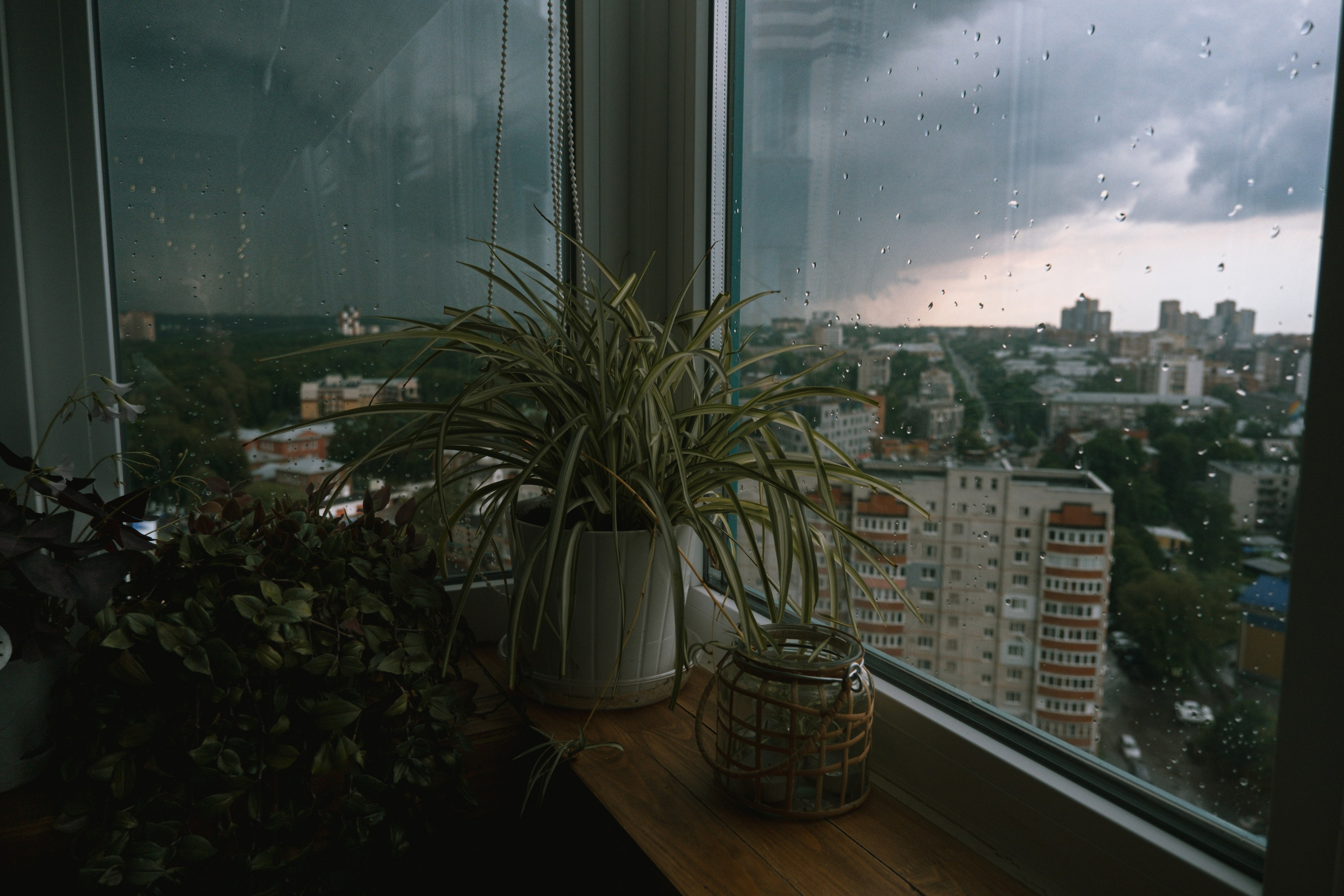 Татьяна с семьей. Главная