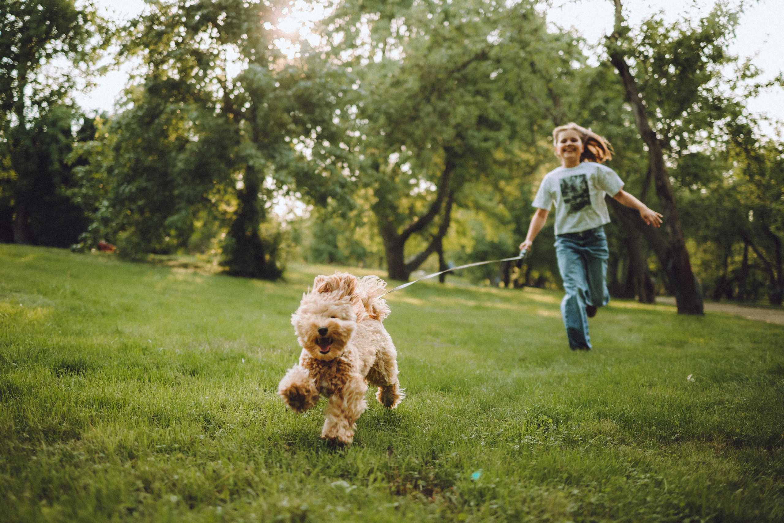 Фред и его семья