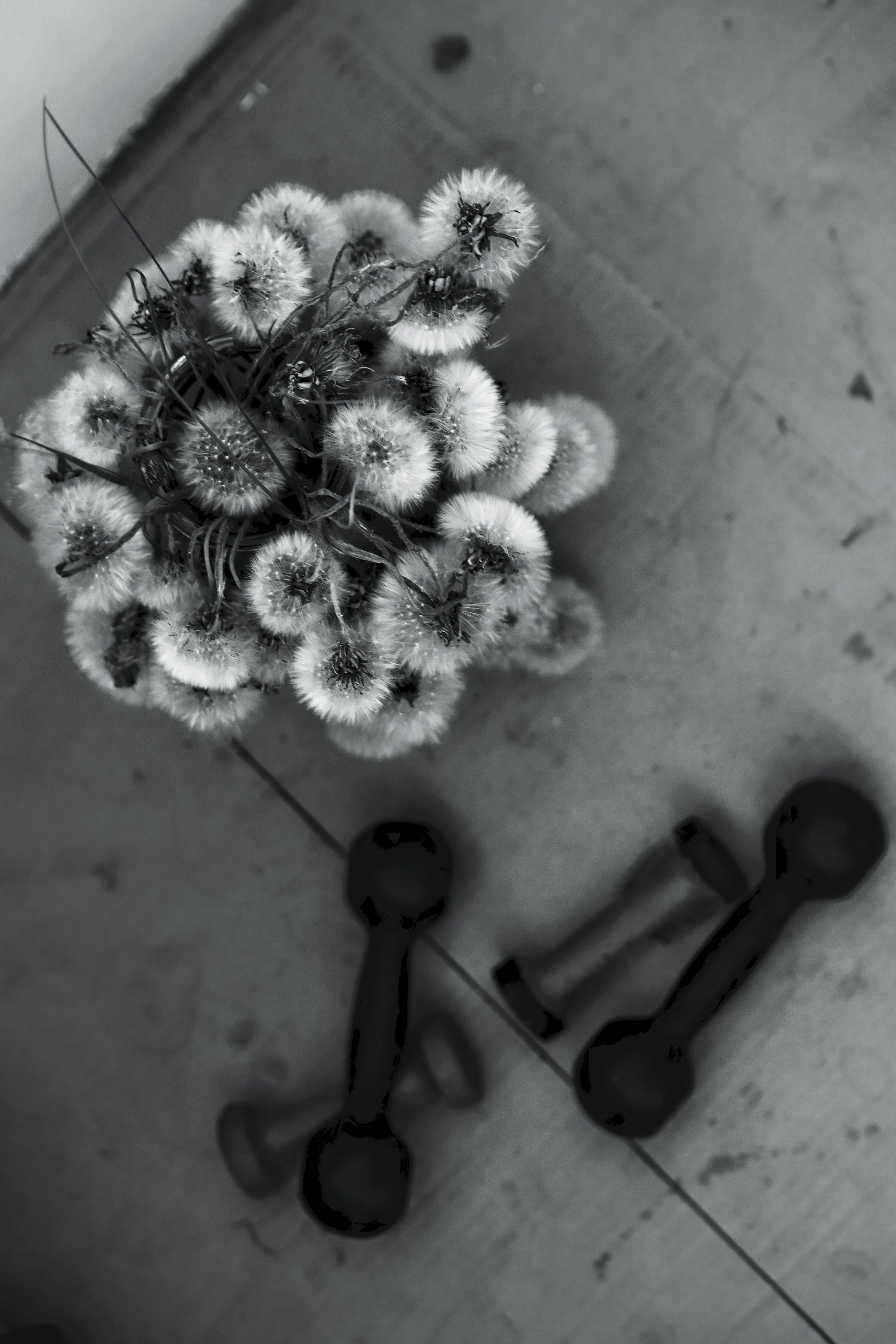 Концептуальное. Tatyana Mazok творческий фотограф в Минске