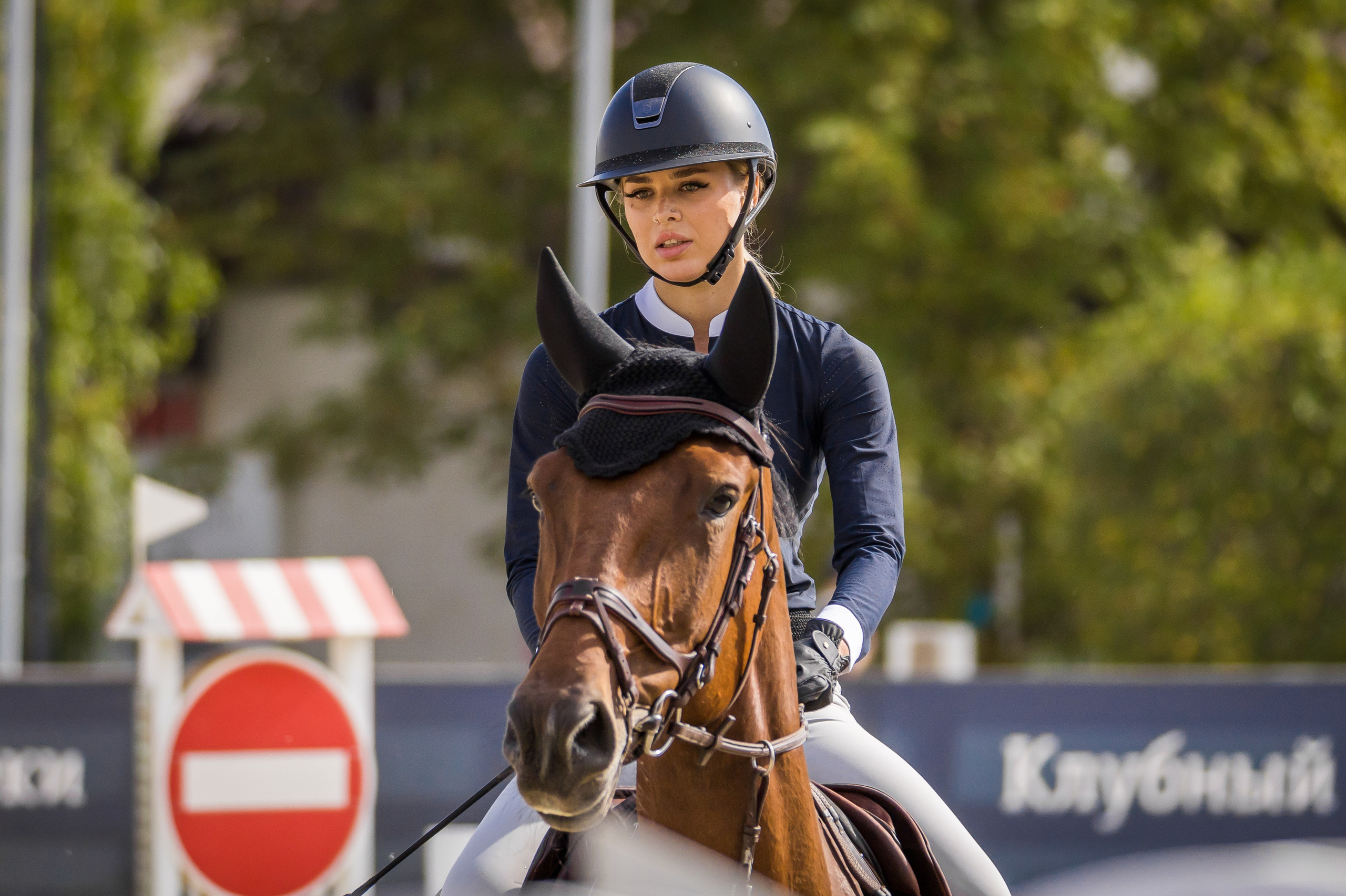 Конный спорт. Photomantis