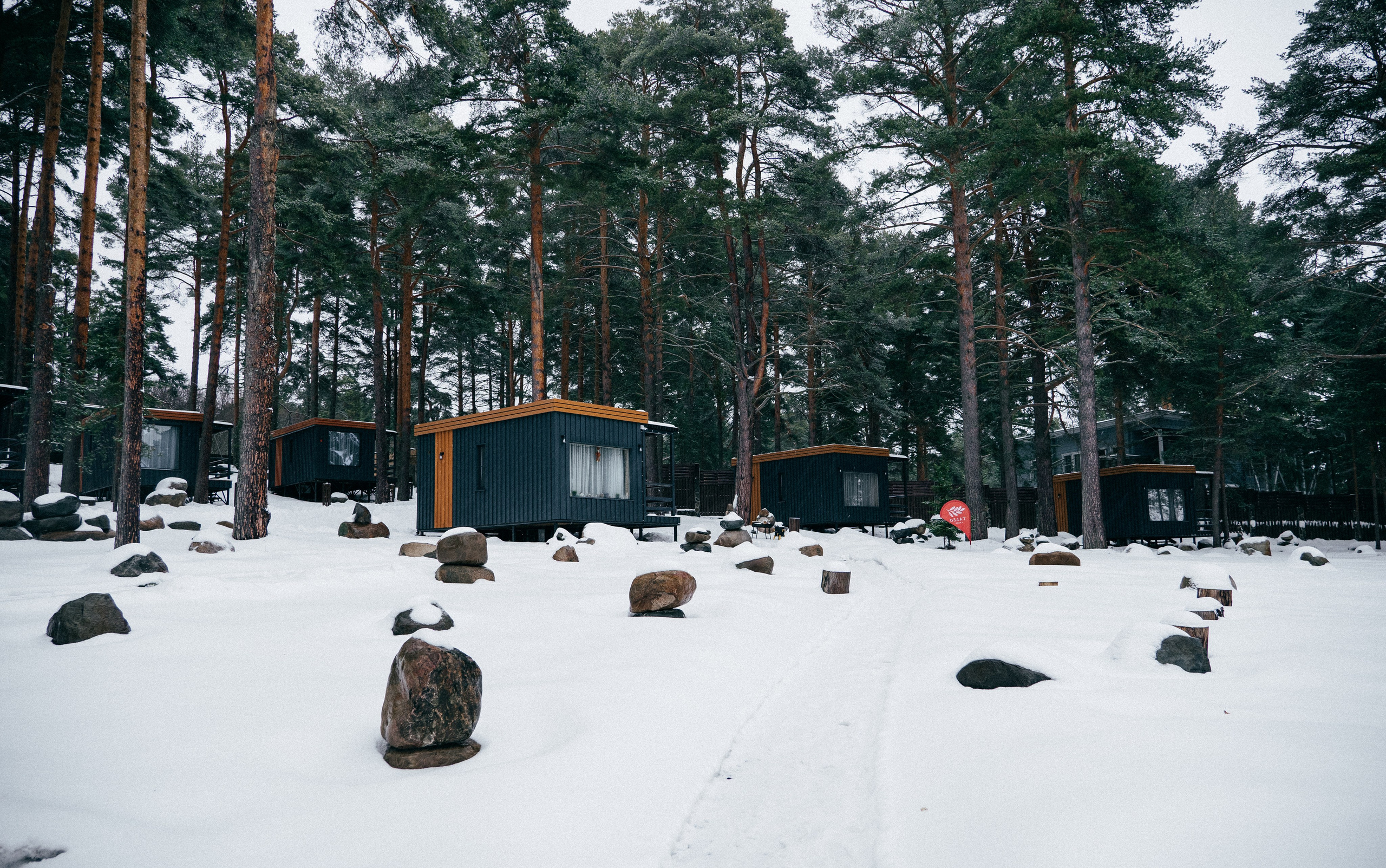 TALEO. Создание контента | Фото | Видеосъемка | Александр Ярков