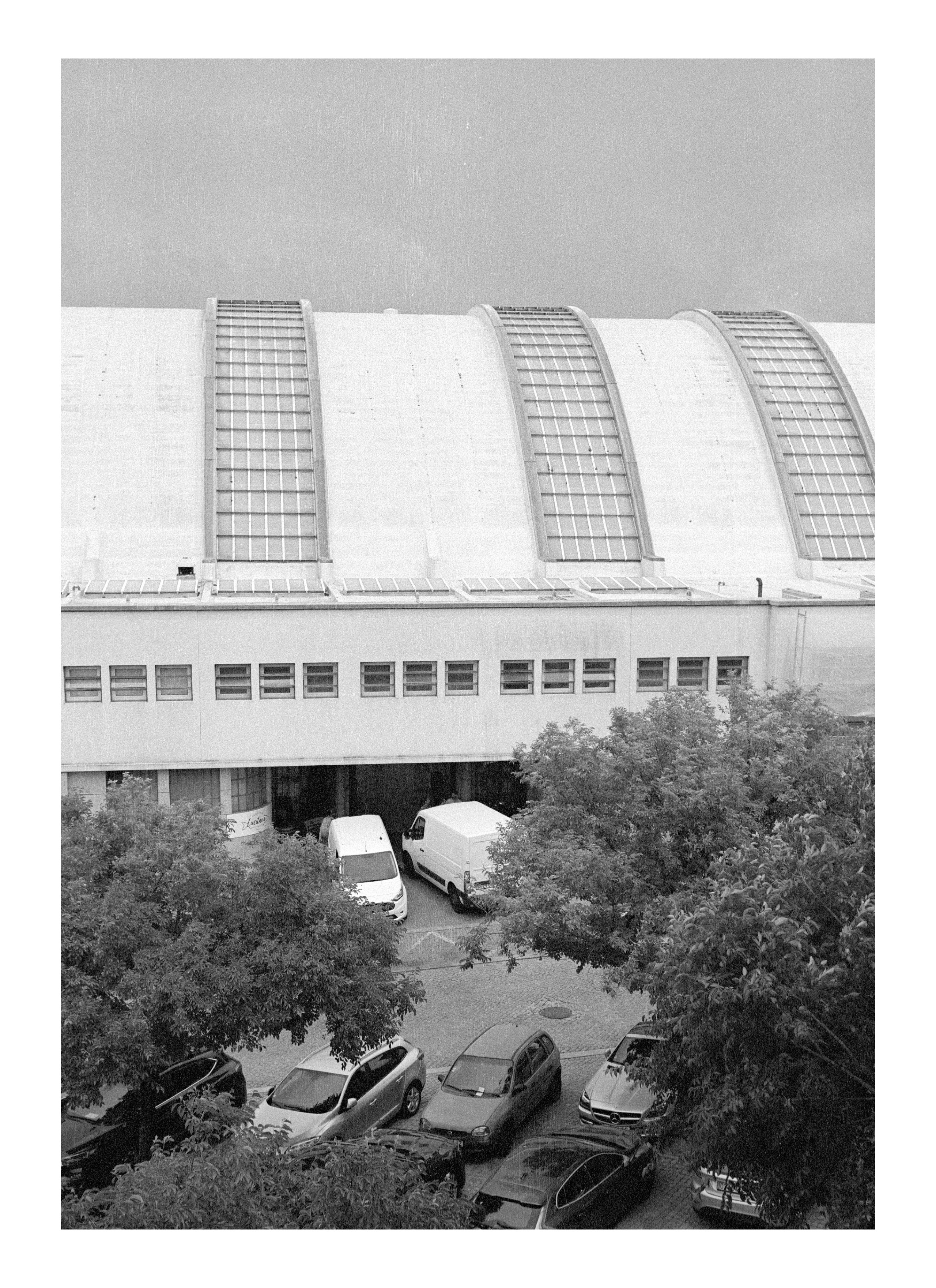 Porto 2023. Dima Voronetsky