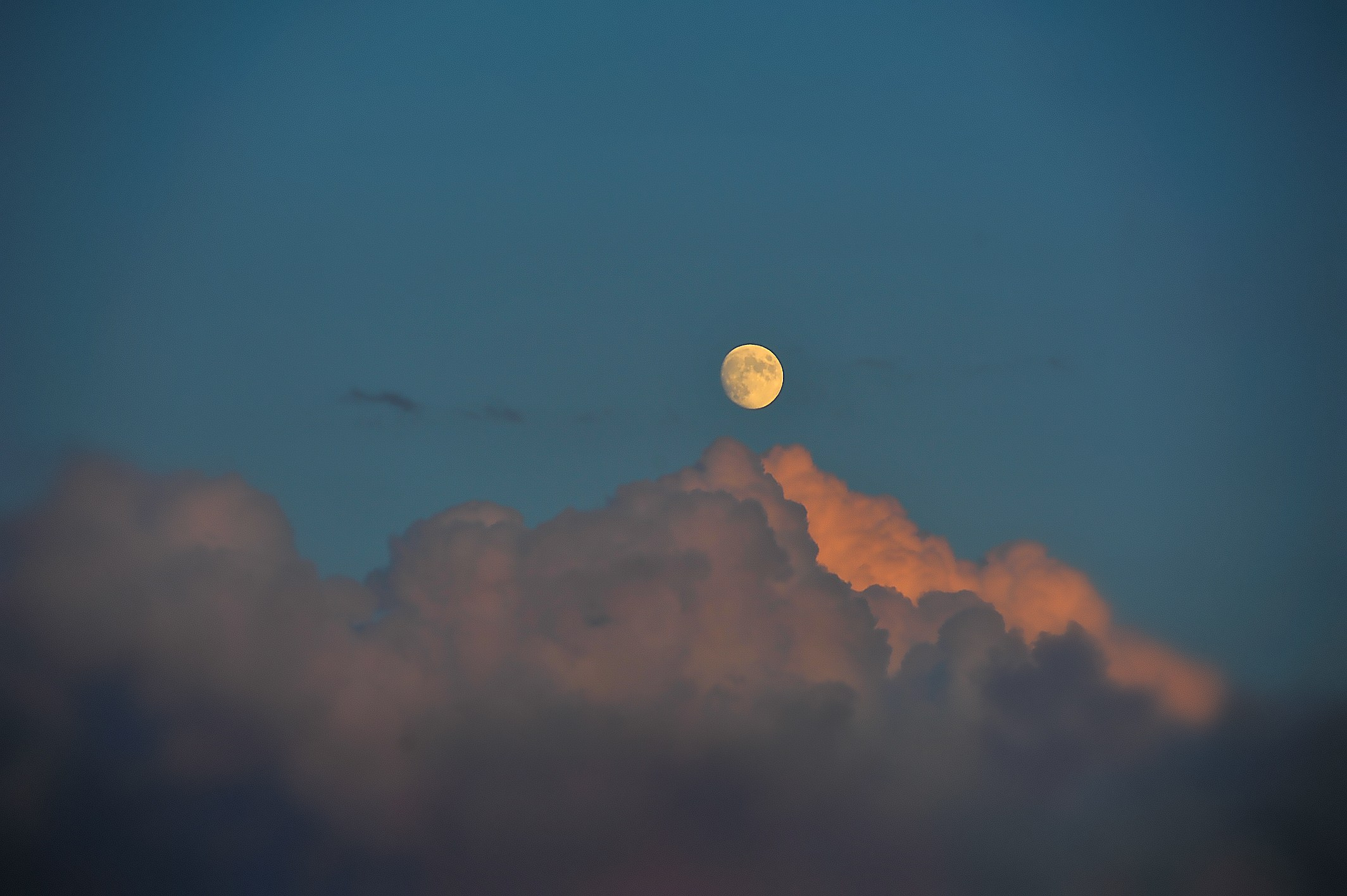 Vibe. Фотограф Милена Яновска