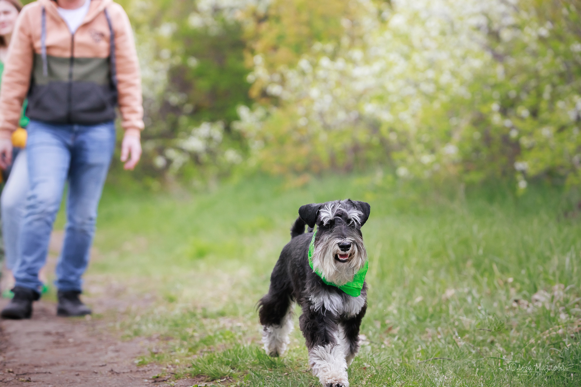 Семейная фотосессия в Саратове, семейный фотограф Саратов. Фотограф в Саратове Ольга Мазлова