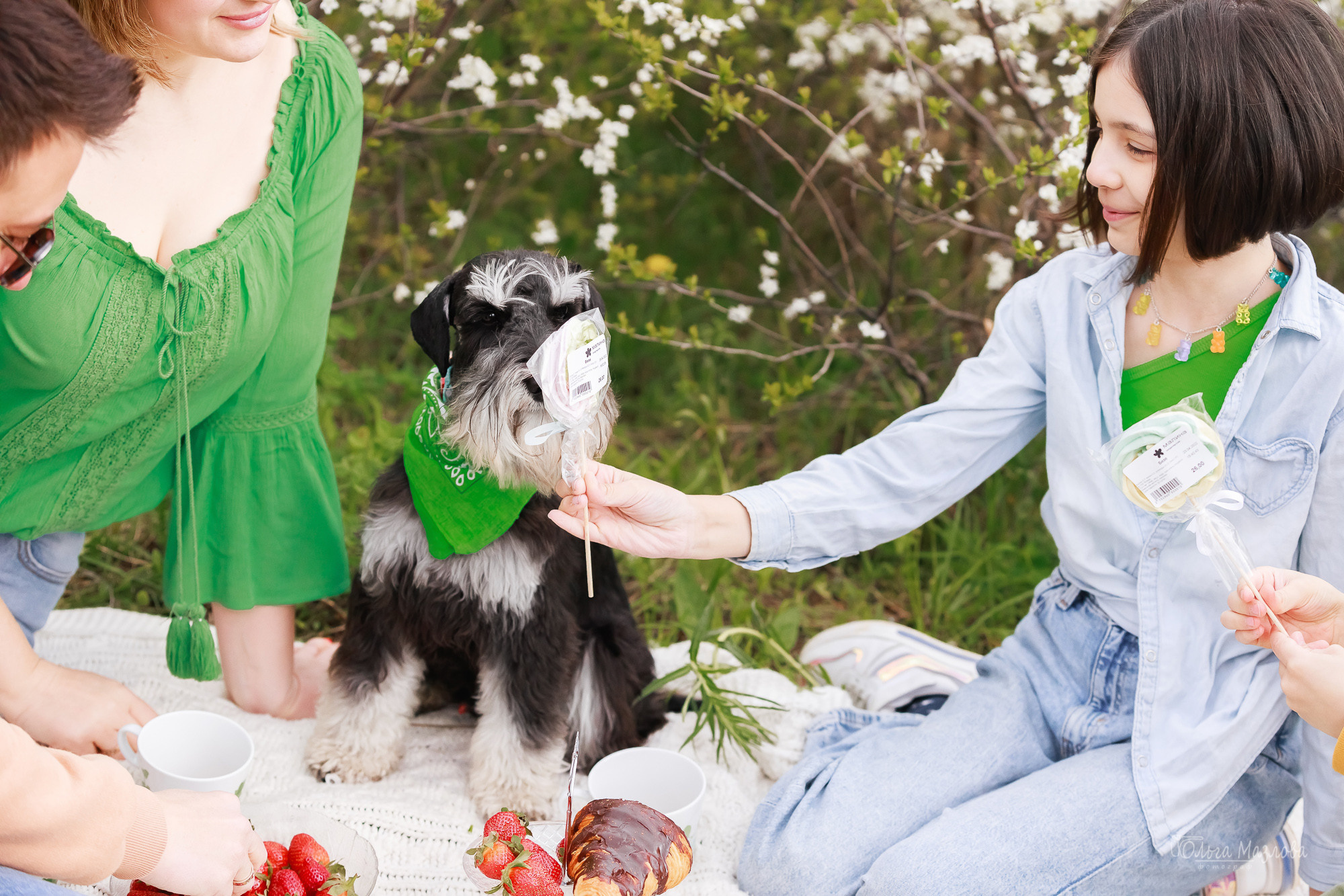 Семейная фотосессия в Саратове, семейный фотограф Саратов. Фотограф в Саратове Ольга Мазлова