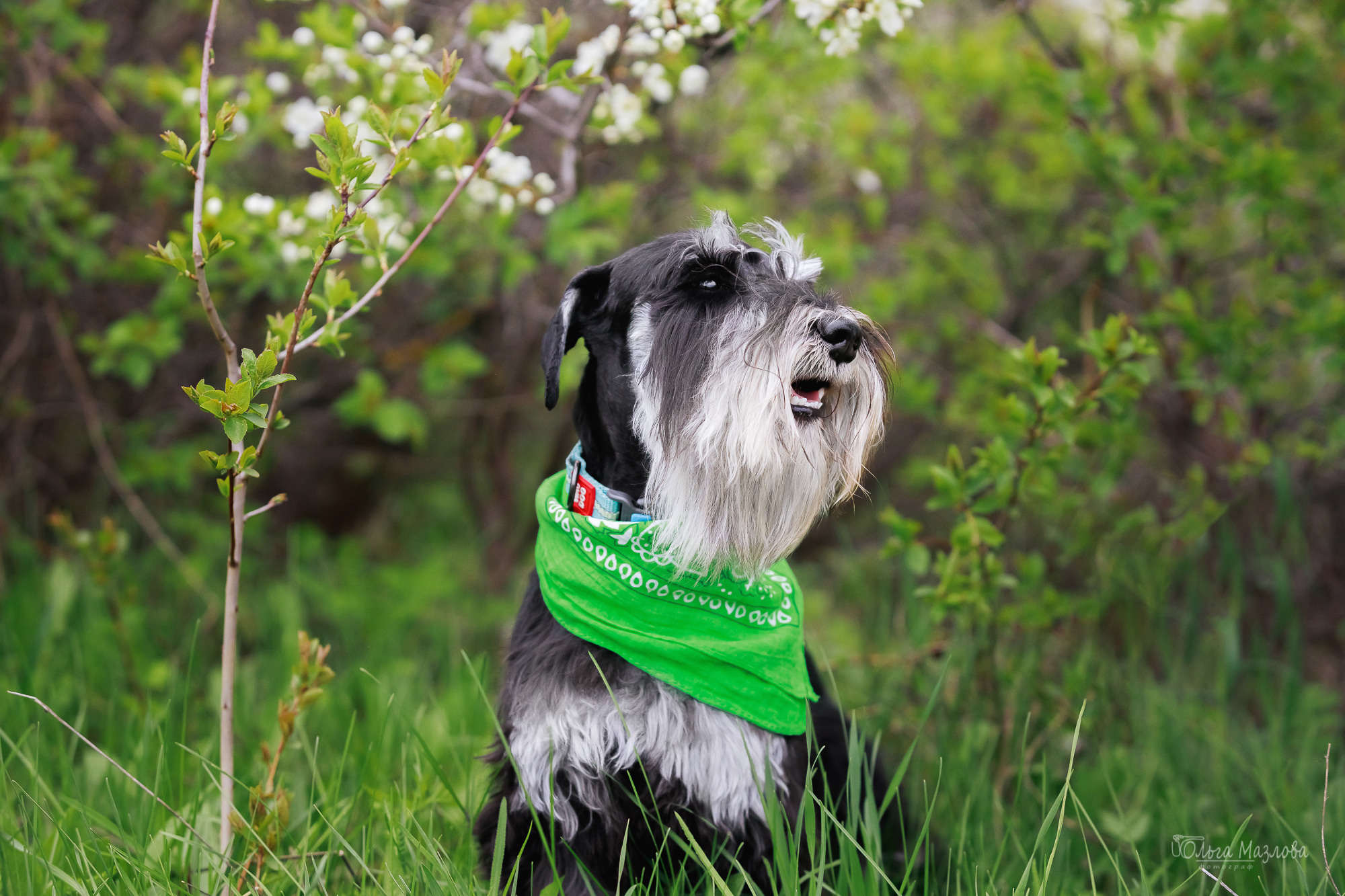 Семейная фотосессия в Саратове, семейный фотограф Саратов. Фотограф в Саратове Ольга Мазлова